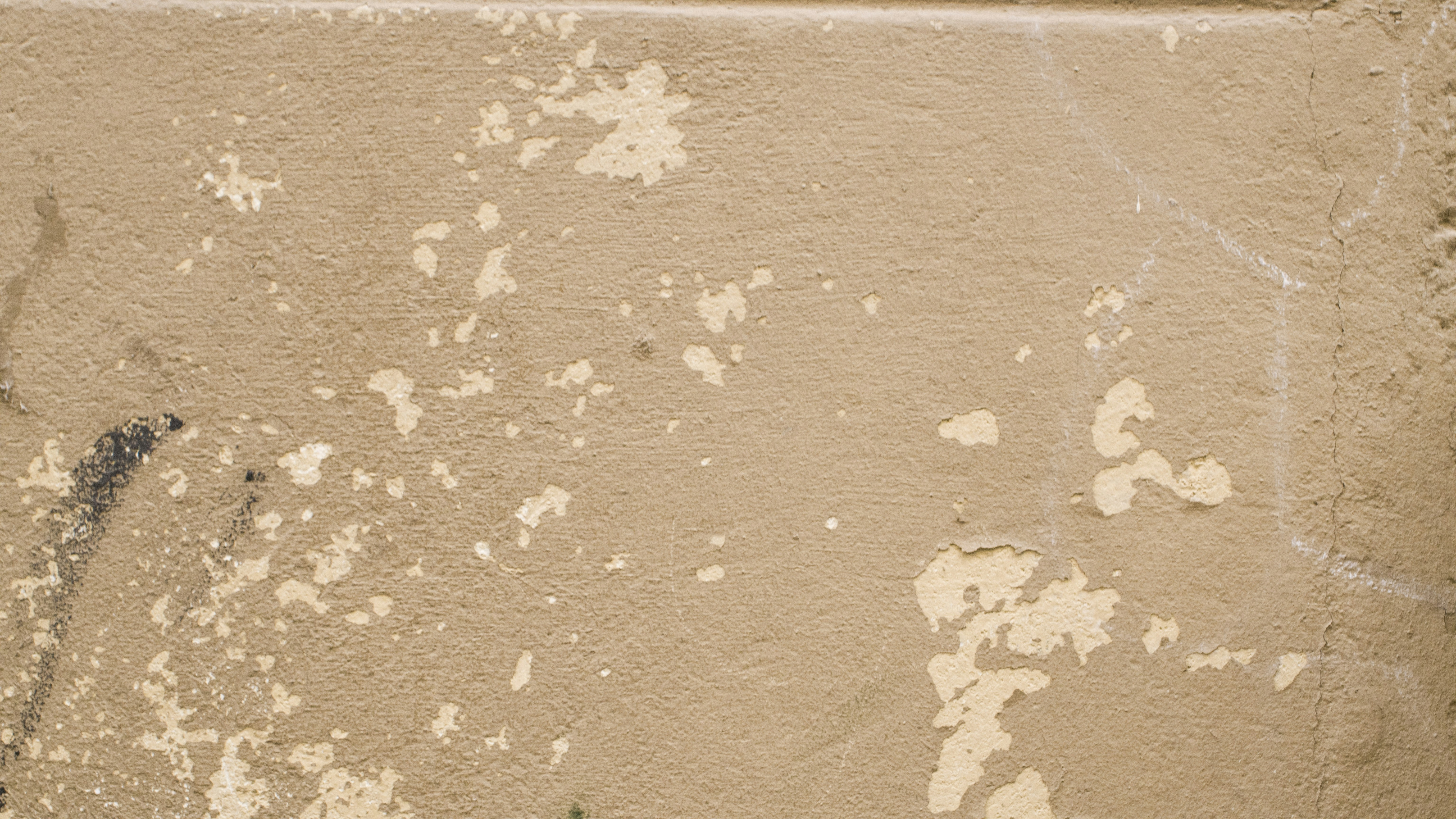 Photo by rhubbardstockfootage