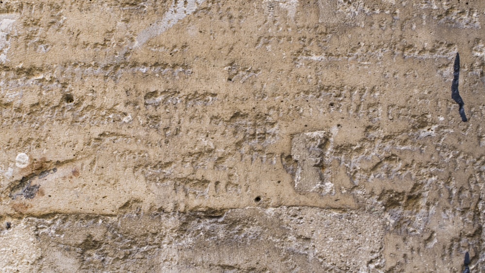 a close-up of a rock