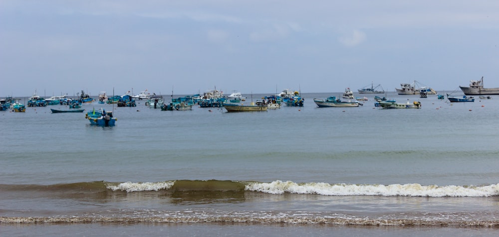 boats in the water