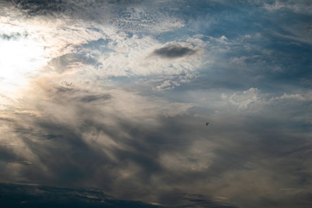 A vast expanse of sky filled with dramatic clouds. There is a bird flying in the middle, surrounded by variations of clouds ranging from fluffy to wispy. The lighting creates a mix of bright and shadowy areas, giving a sense of depth and movement.