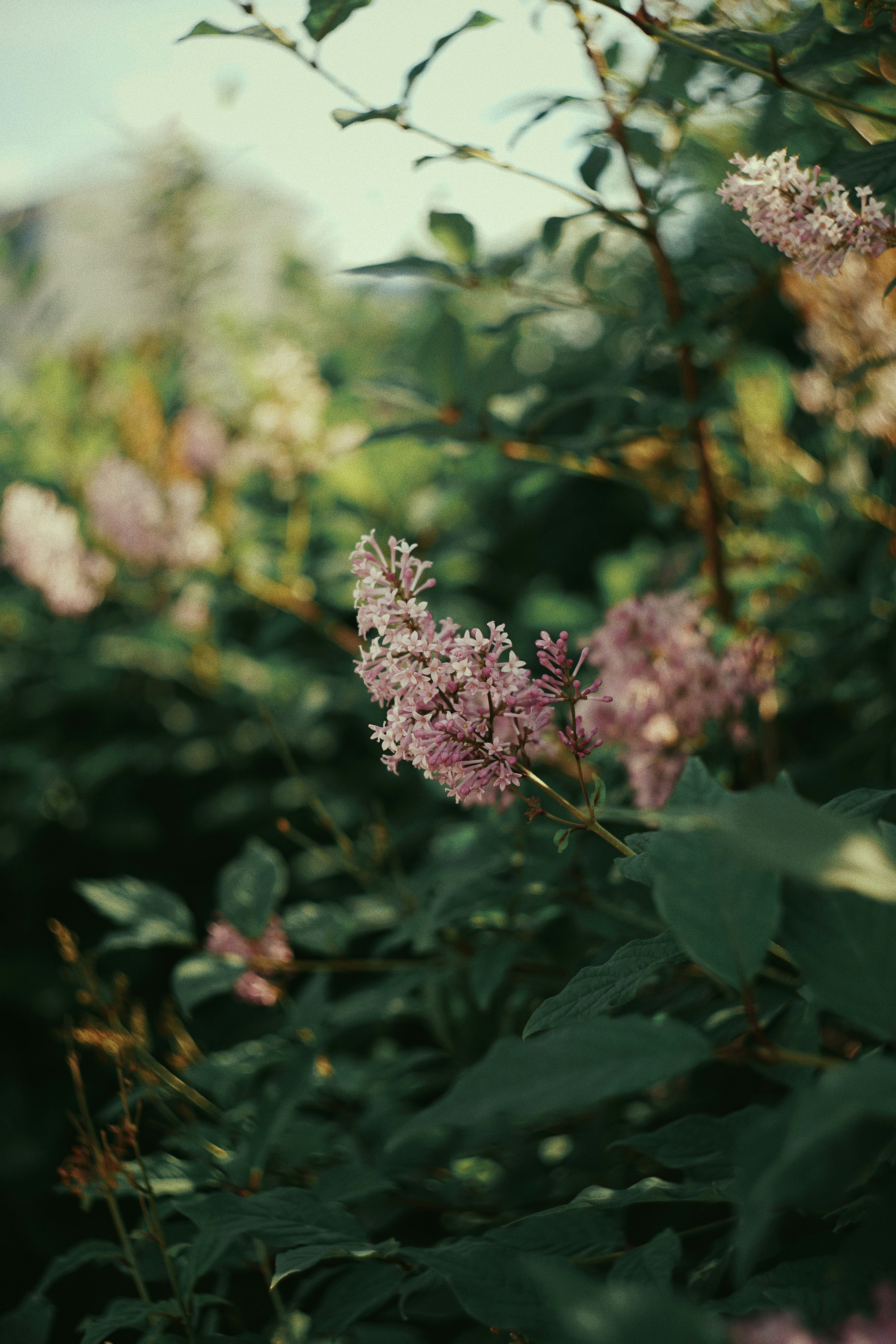 Photo by shklyaevmax