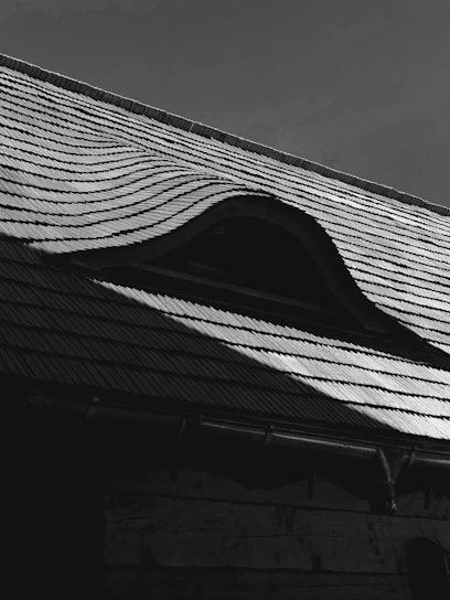 A close-up view of a roof with a distinctive curved shape and overlapping tiles, creating a wavy pattern. The play of light and shadow highlights the textures and contours of the roof structure.