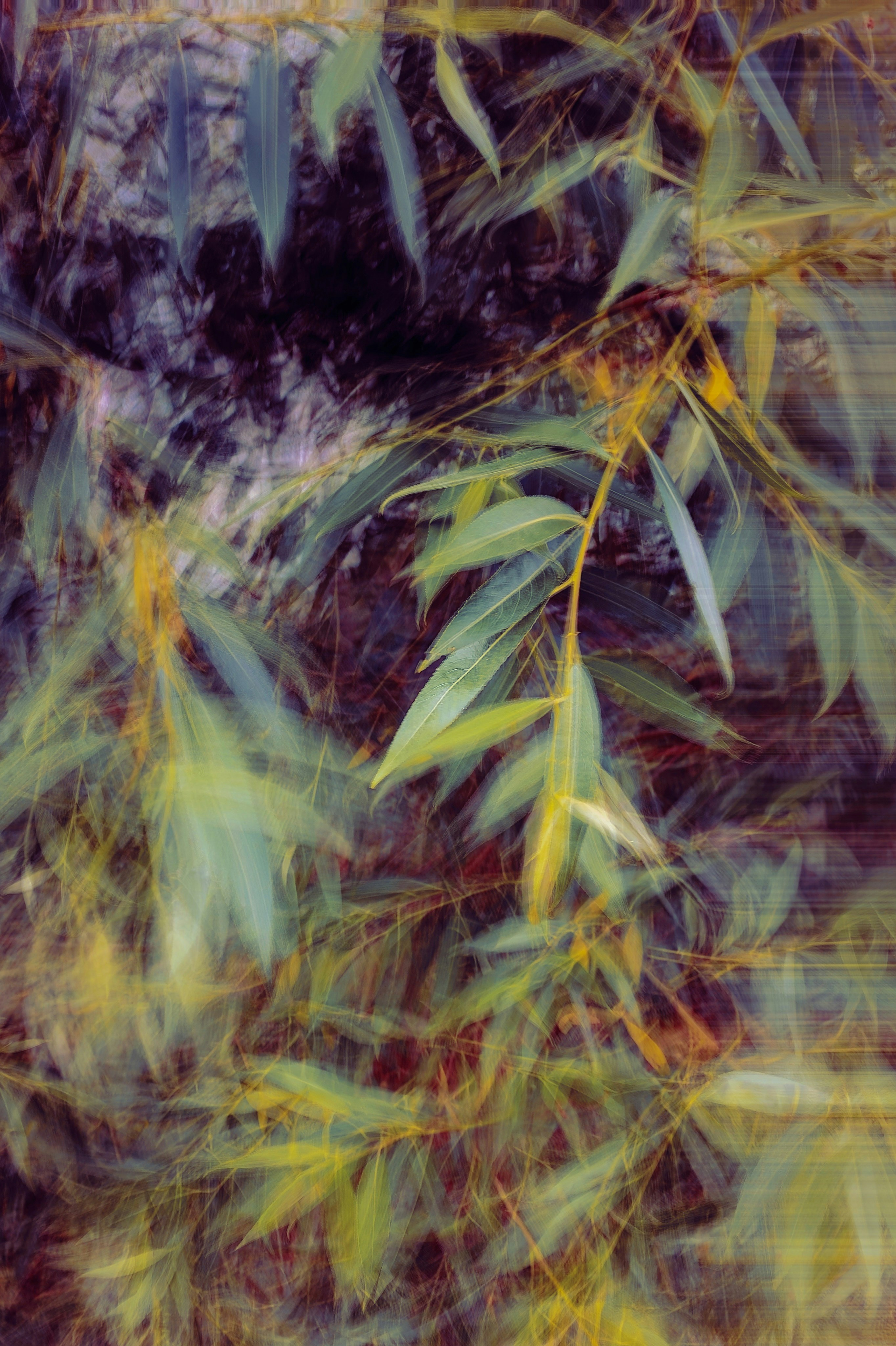 Photo by eugene_golovesov