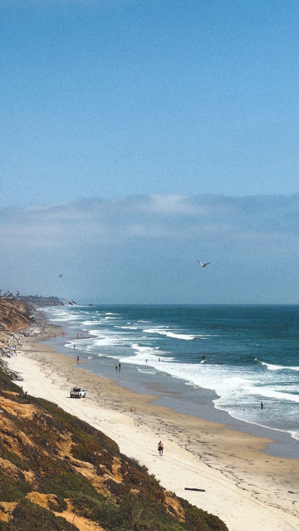 a beach with people and a bird flying over it