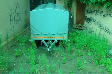 A covered trailer is parked in a small, overgrown alleyway with weeds growing between the paving stones. The walls on either side are covered with graffiti, and some foliage is visible overhanging from the top right corner. There are stacked boards or pieces of wood near the back wall.
