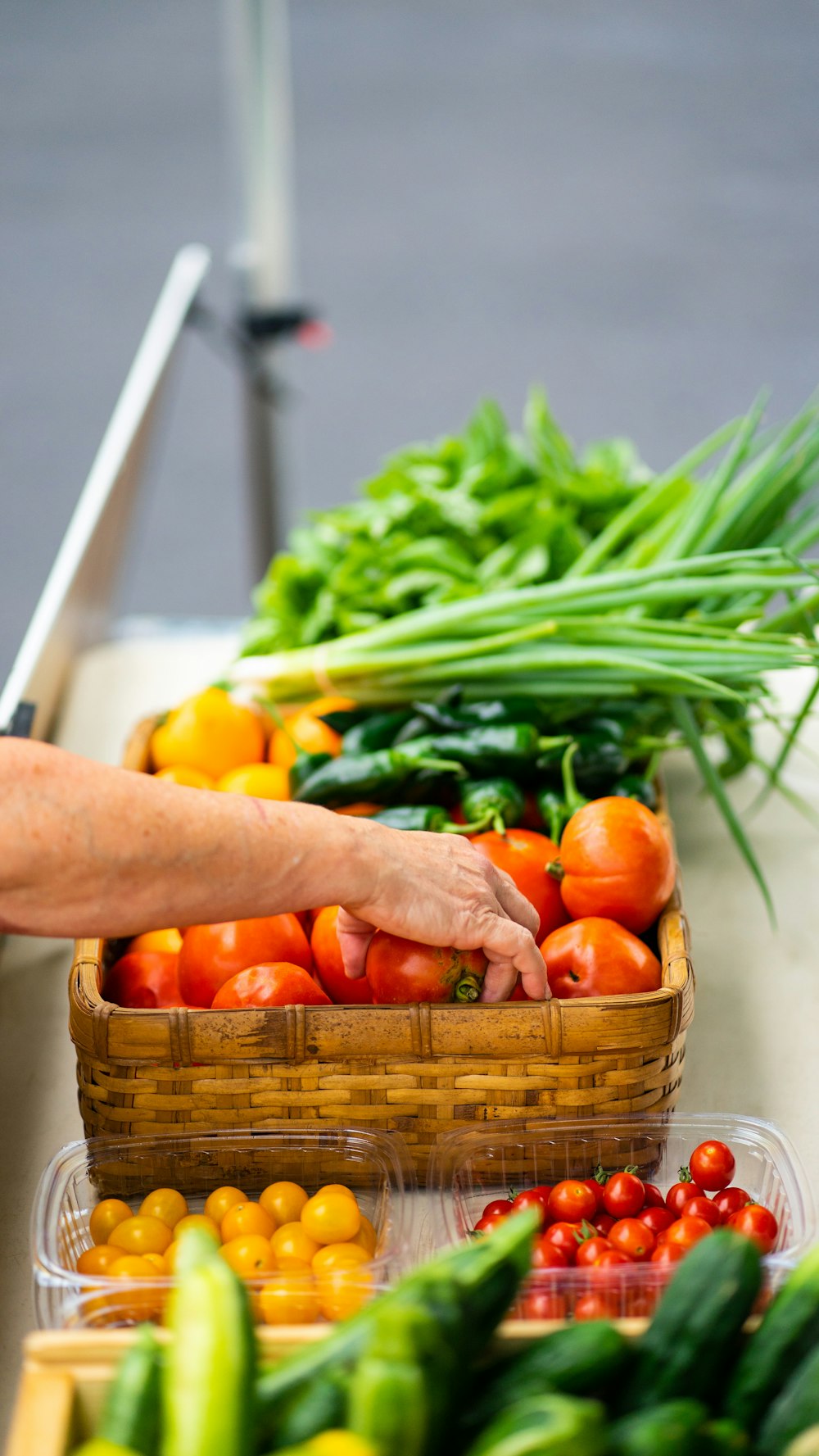 a basket of vegetables