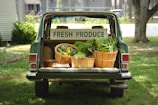 a van with a bunch of vegetables in the trunk
