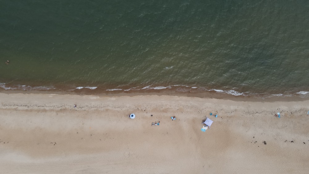 a group of people on a beach