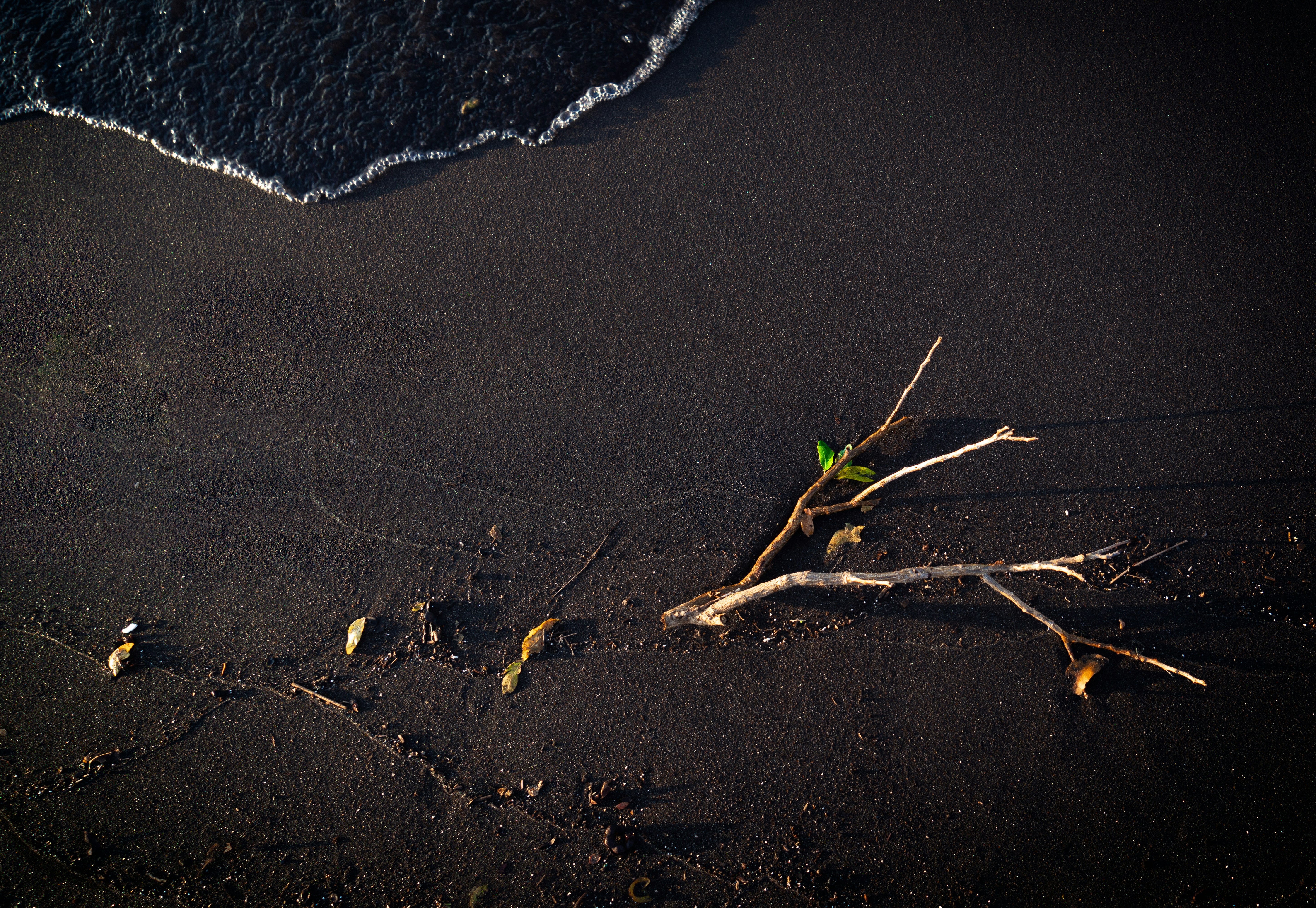 Photo by intricateexplorer