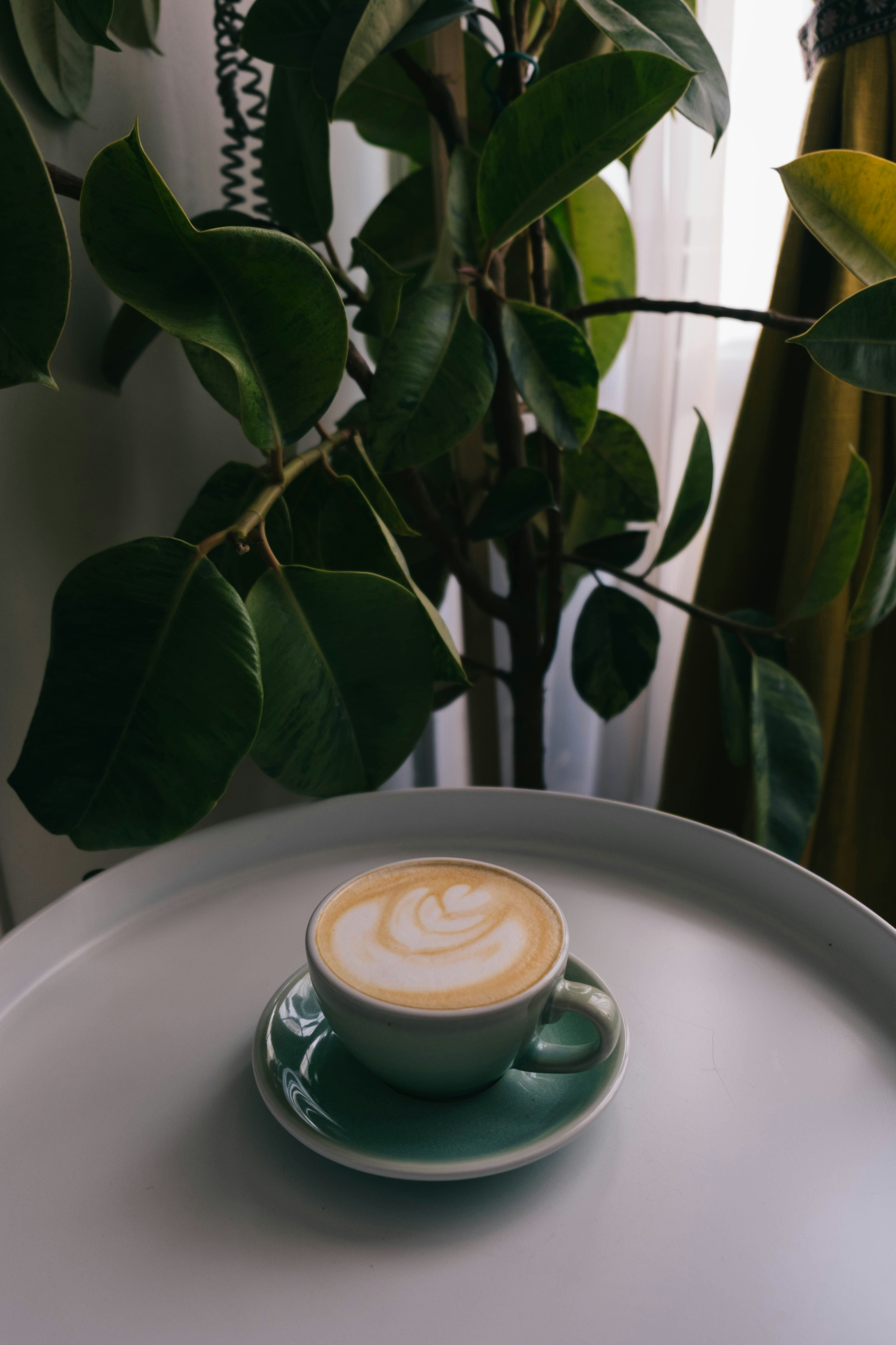 Photo by leonardoalvear