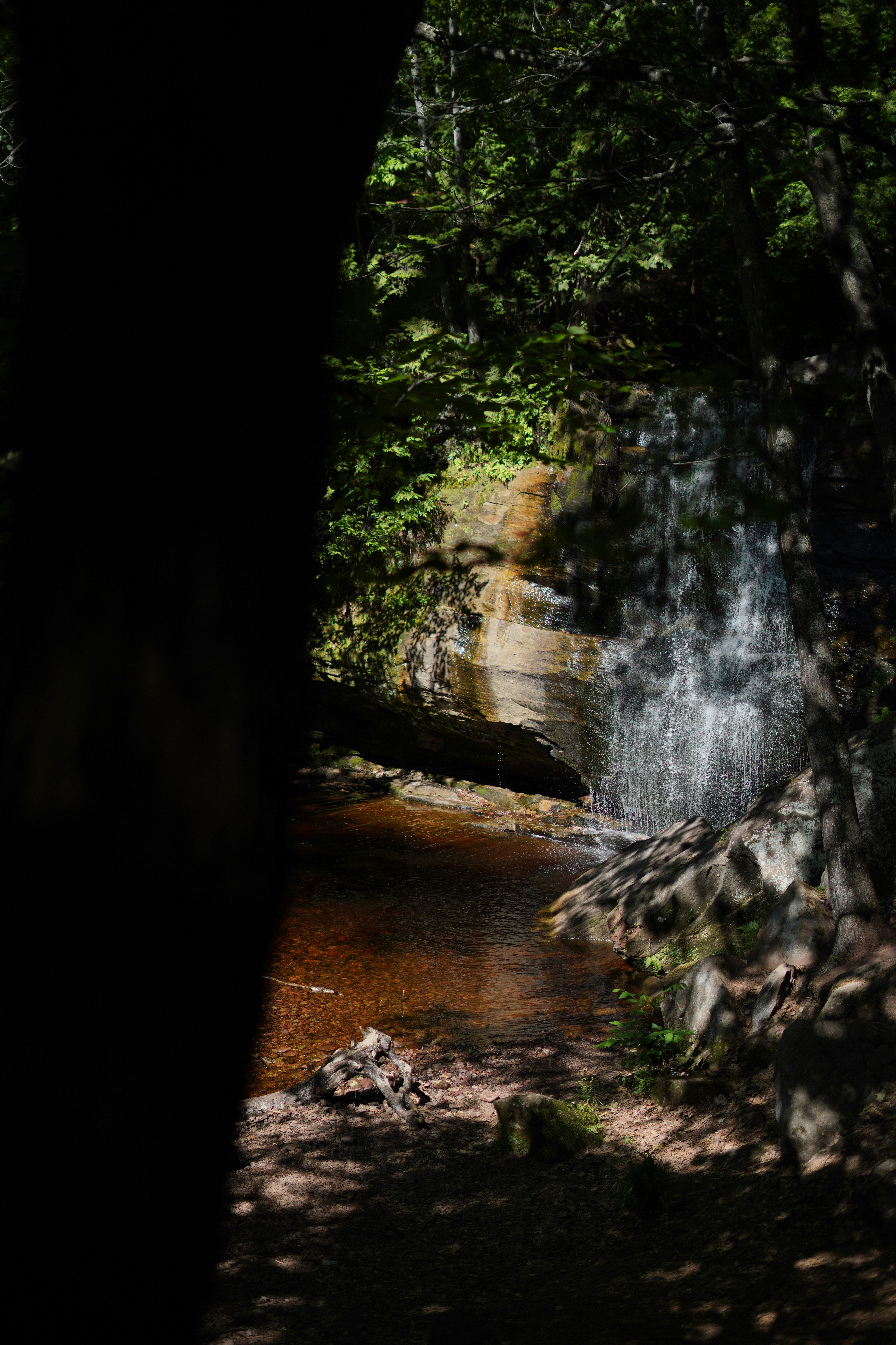 a waterfall in a forest