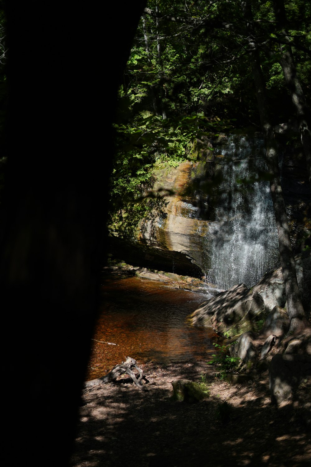 a waterfall in a forest