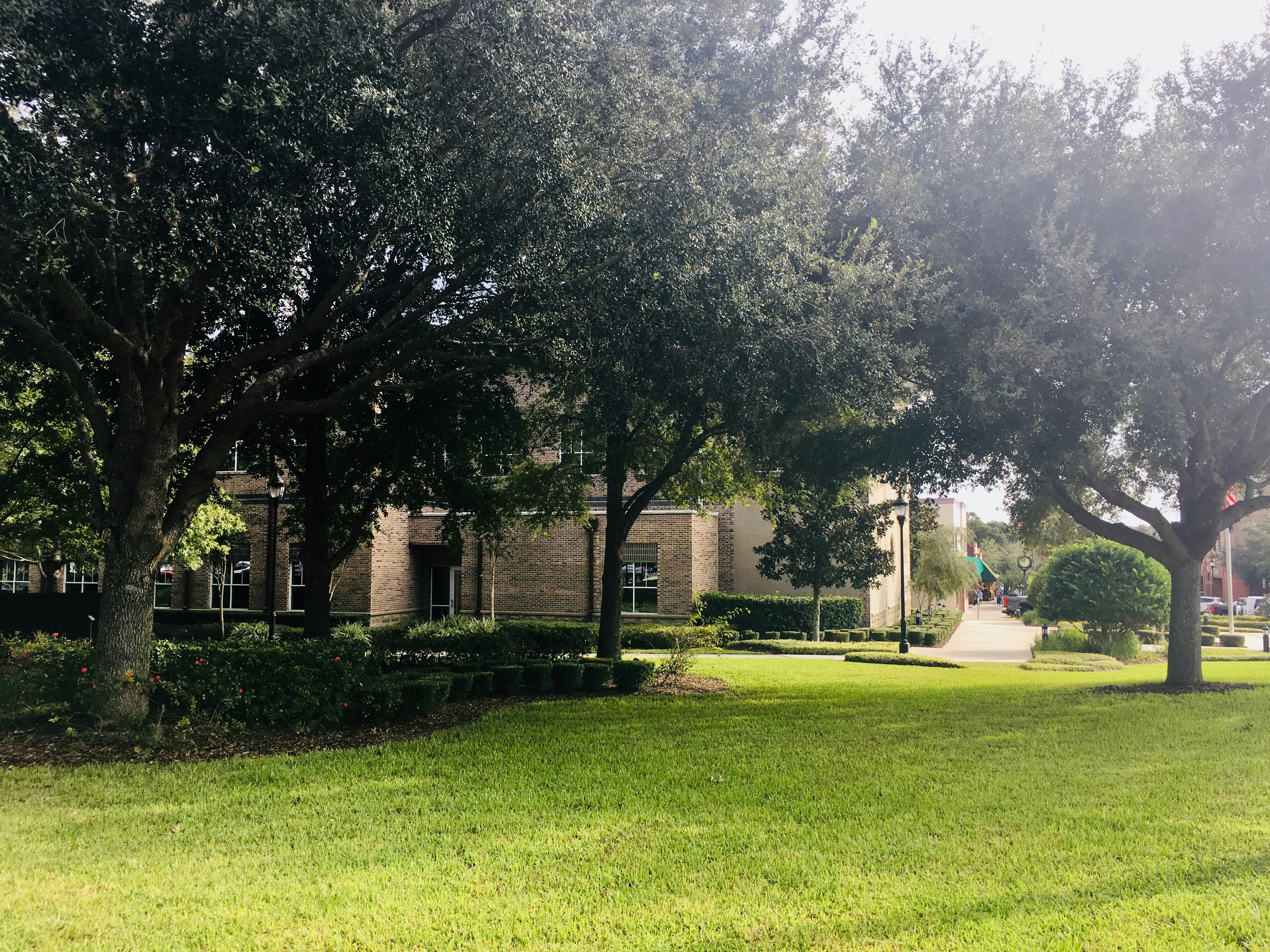Clean commercial green space with trees