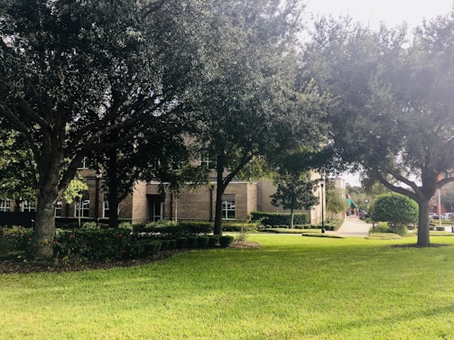 A peaceful common area in a senior living facility, symbolizing the positive impact of effective leadership.