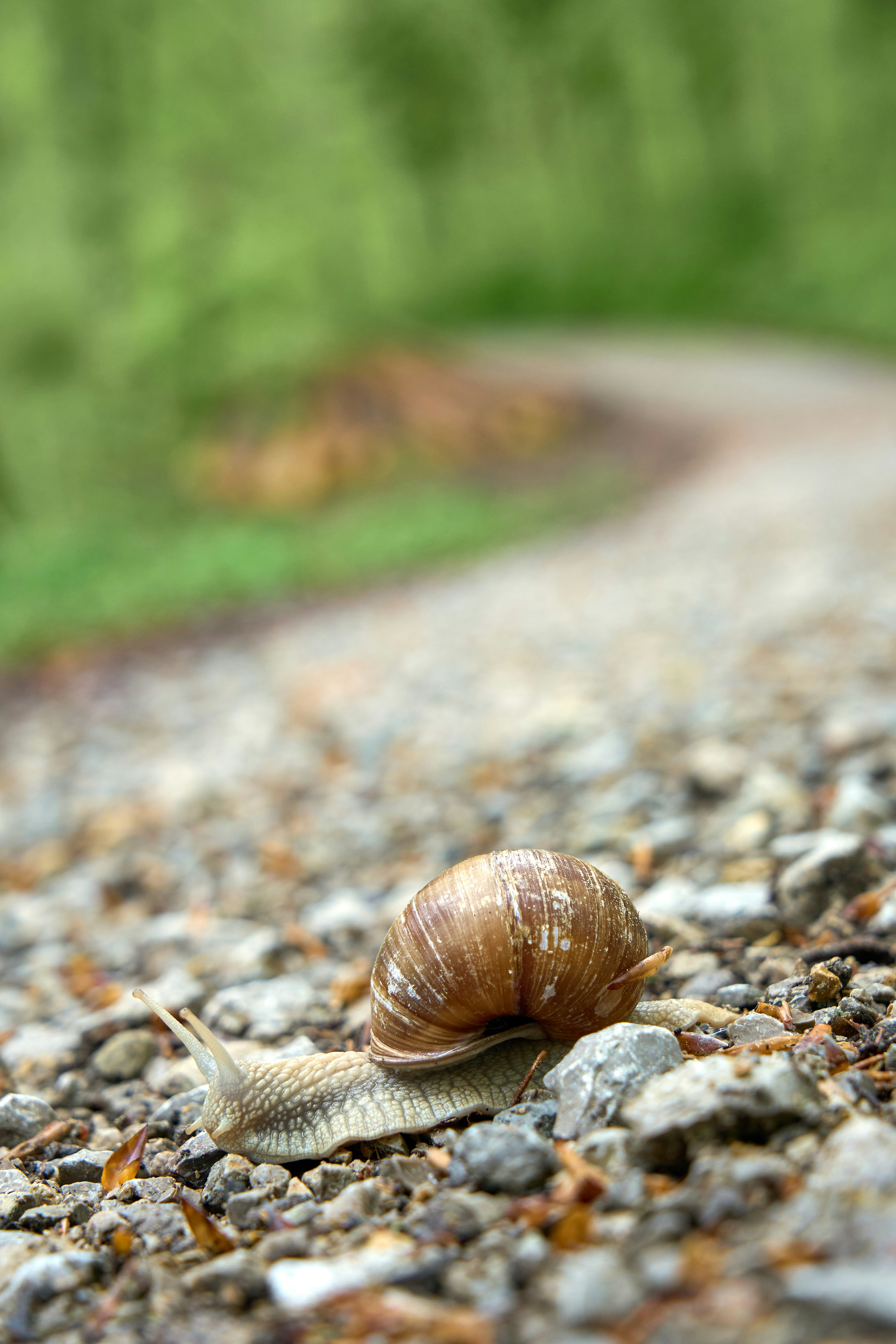 Photo by wolfgang_hasselmann