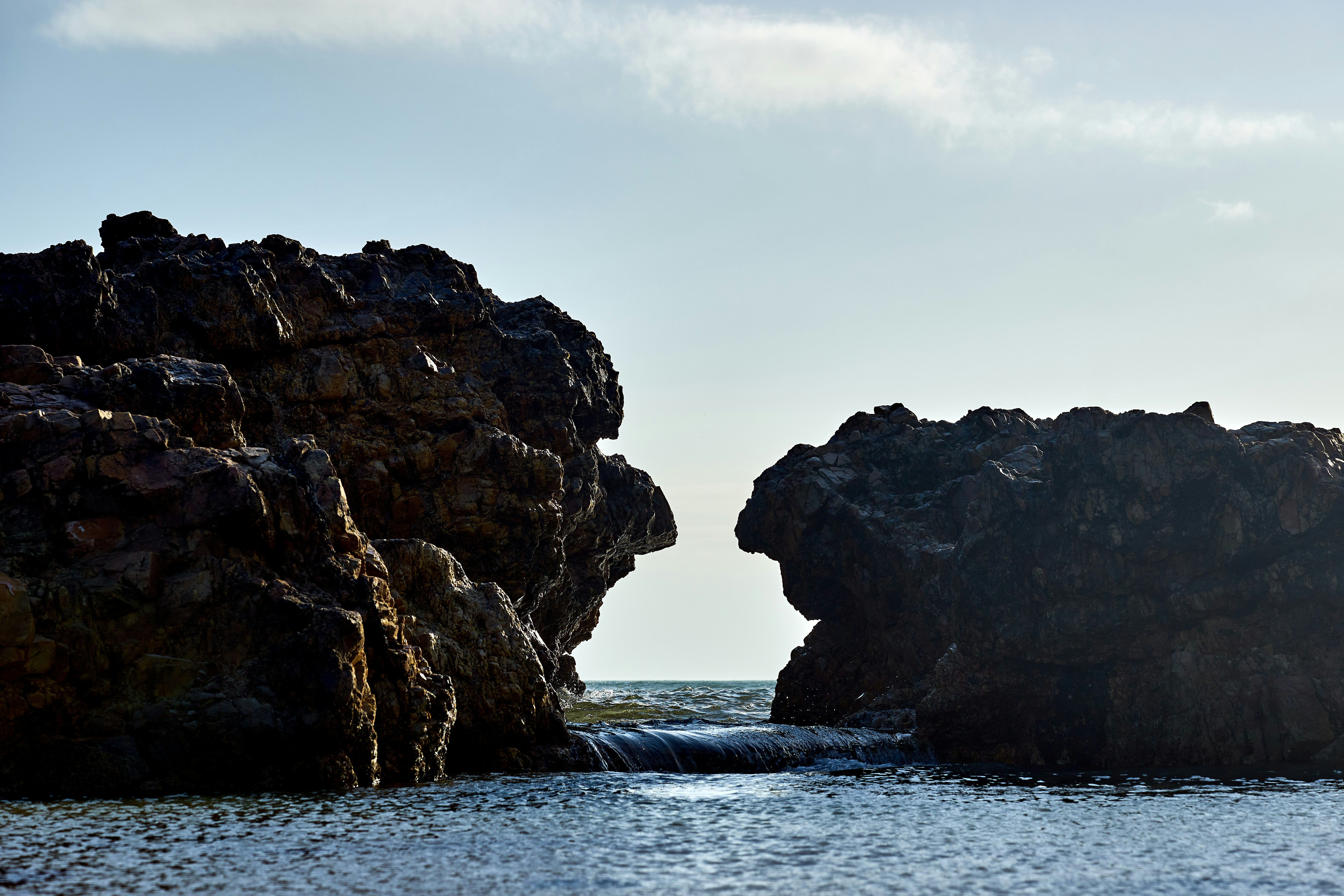 Photo by wolfgang_hasselmann