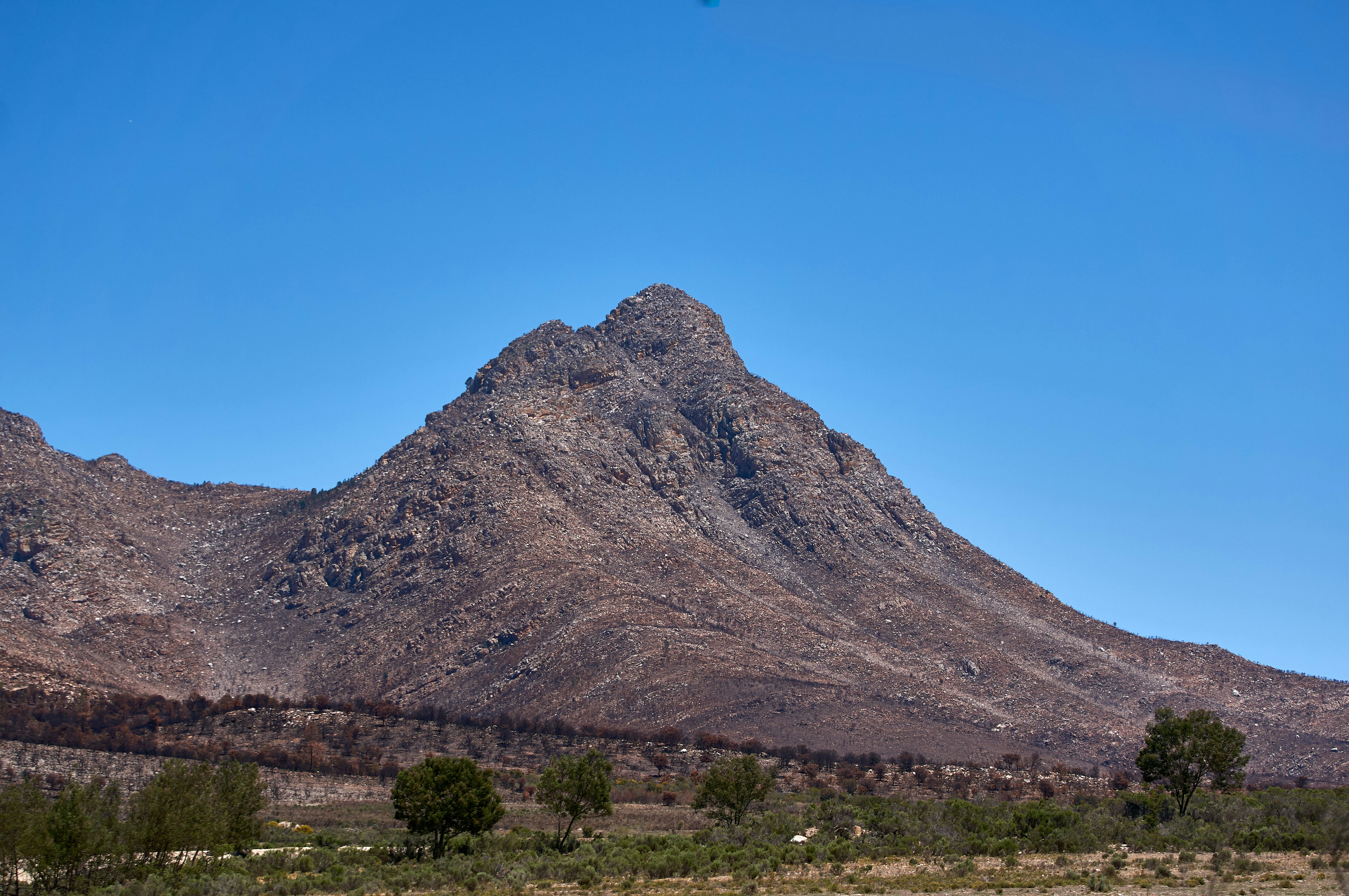 Photo by wolfgang_hasselmann