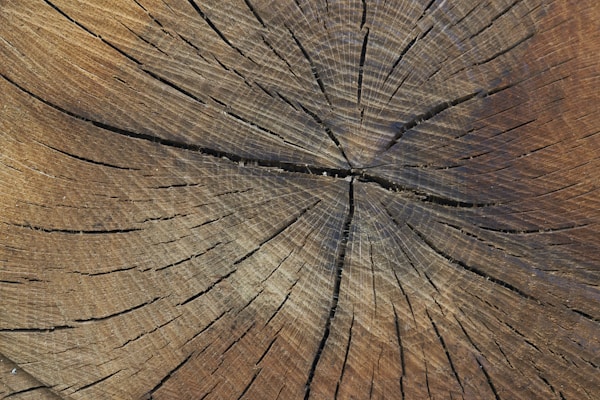 Stump Grinding
