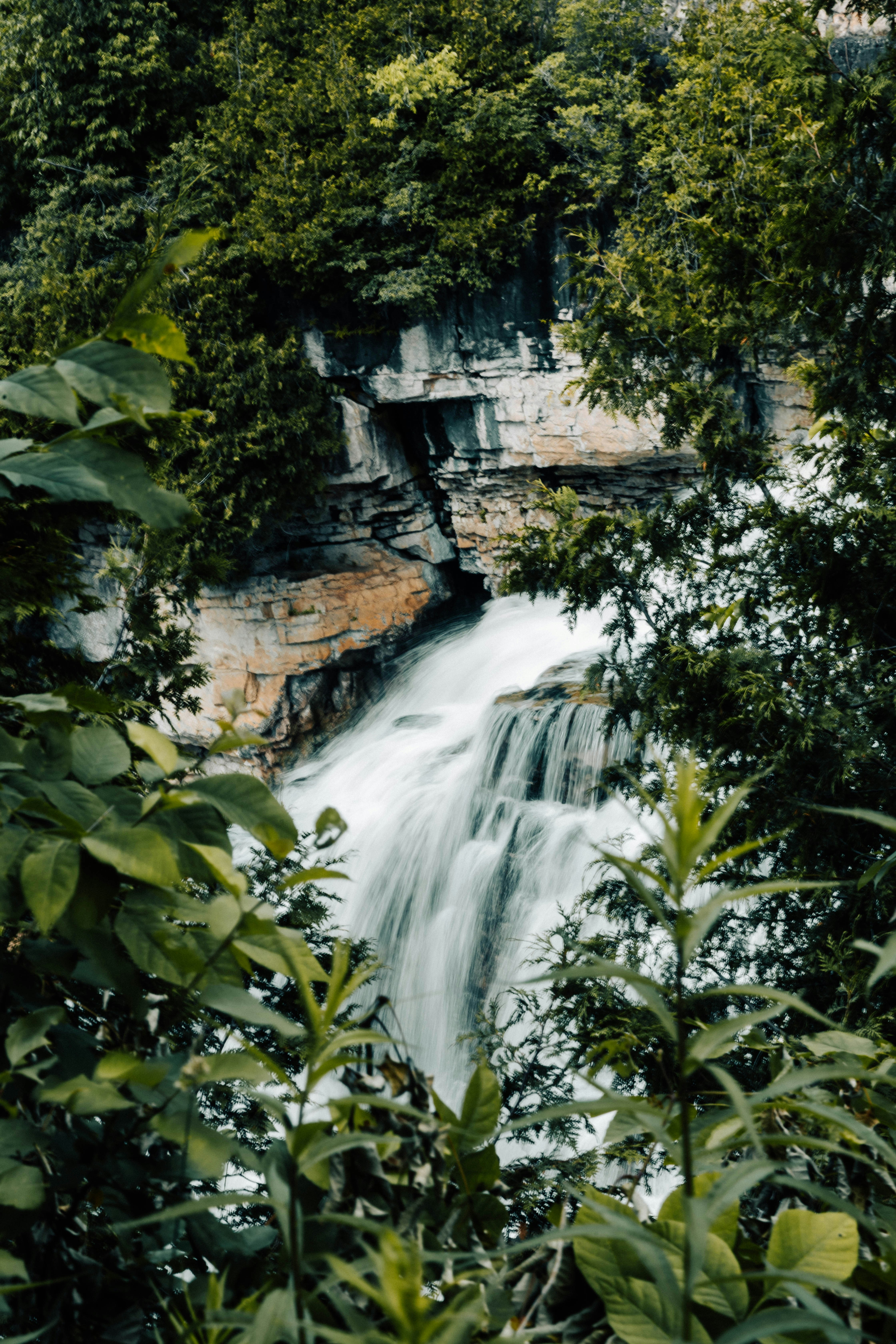 Photo by bradydrogers