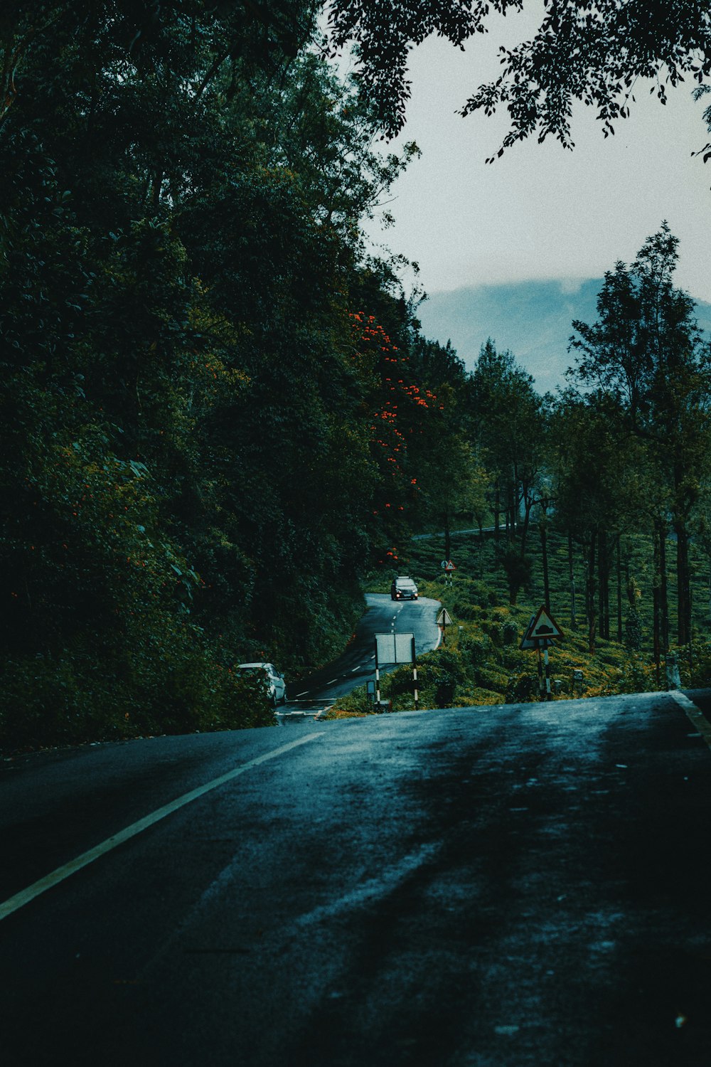 a road with trees on the side