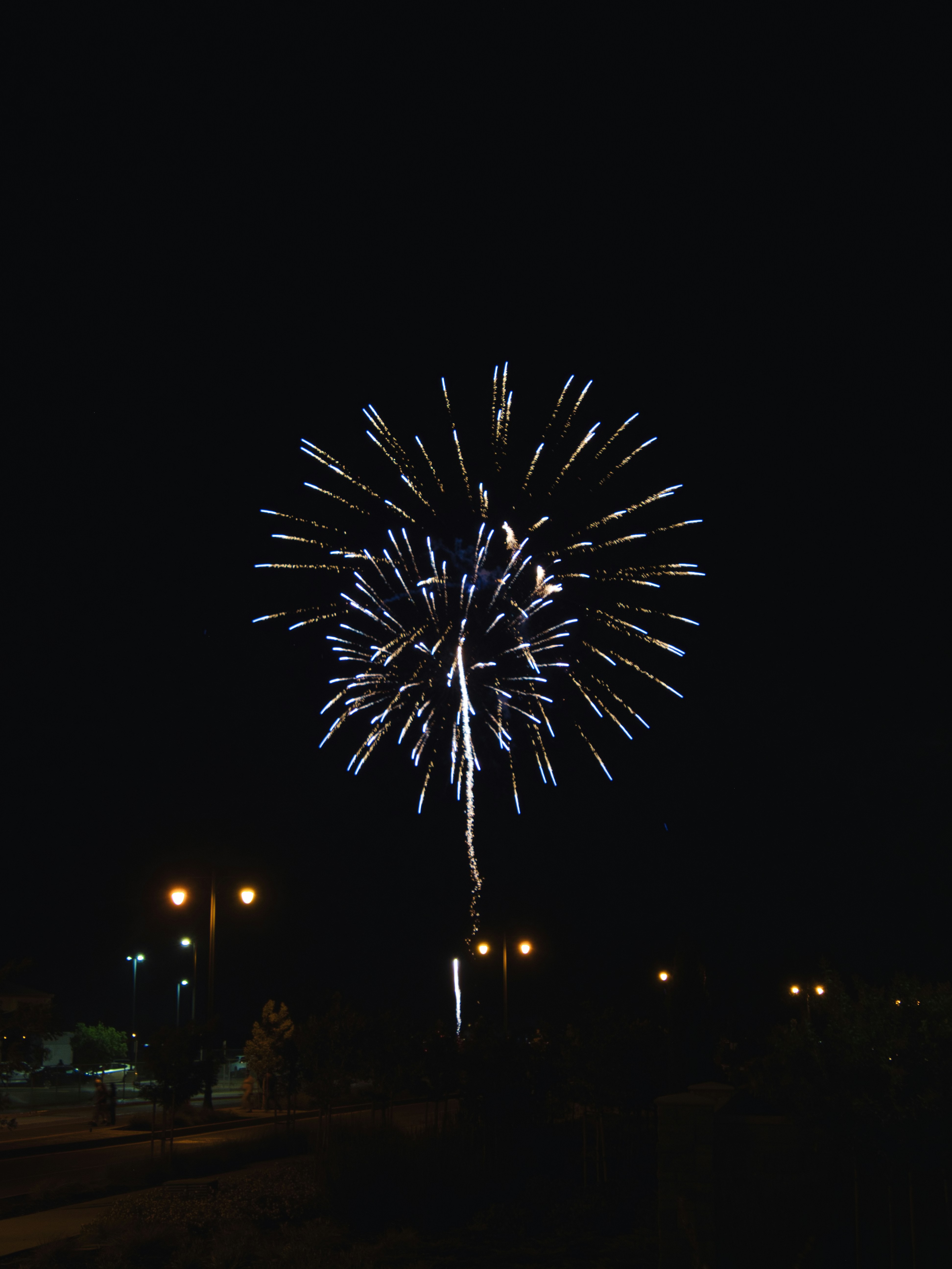 fireworks in the night sky