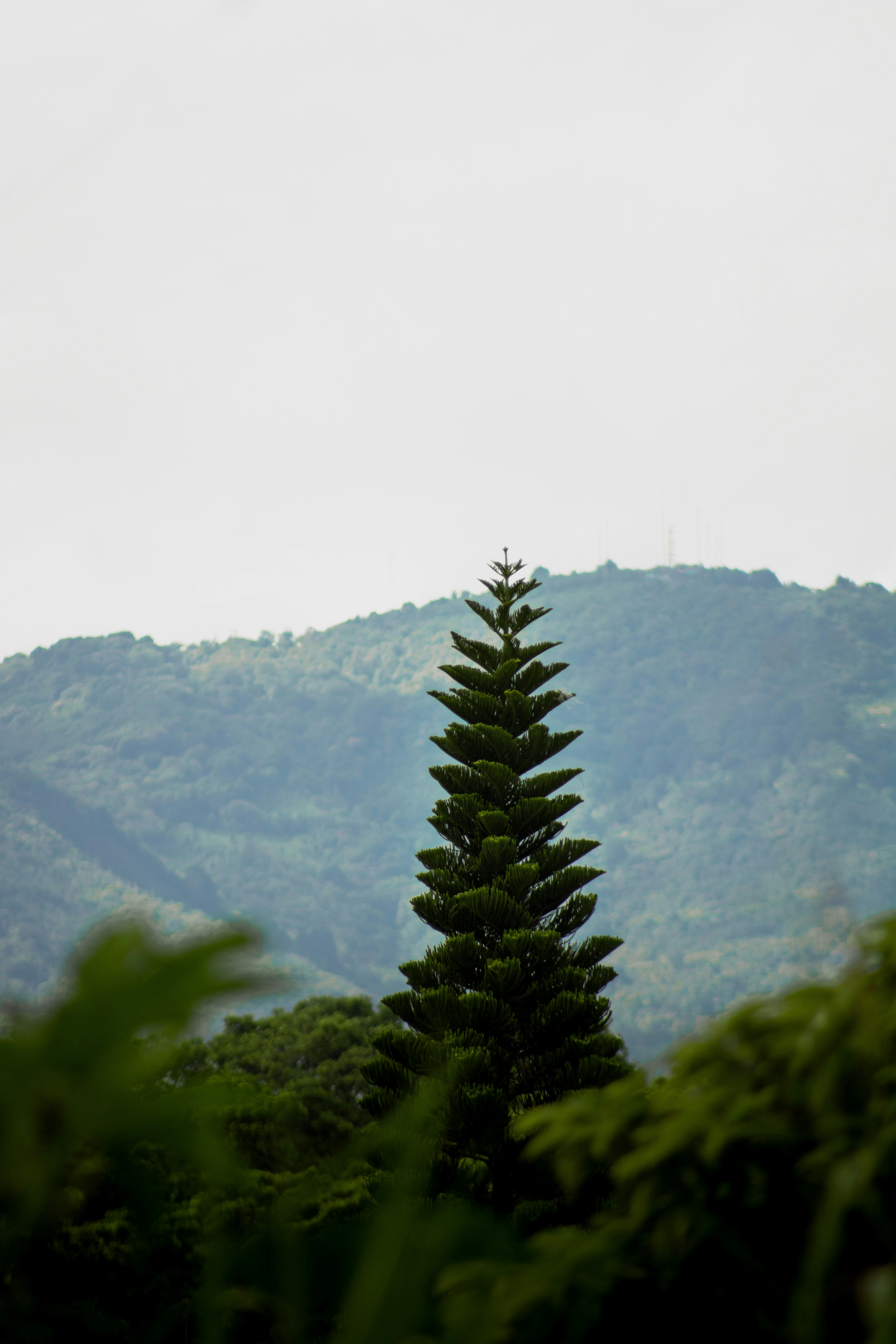 Photo by elianna_gill03