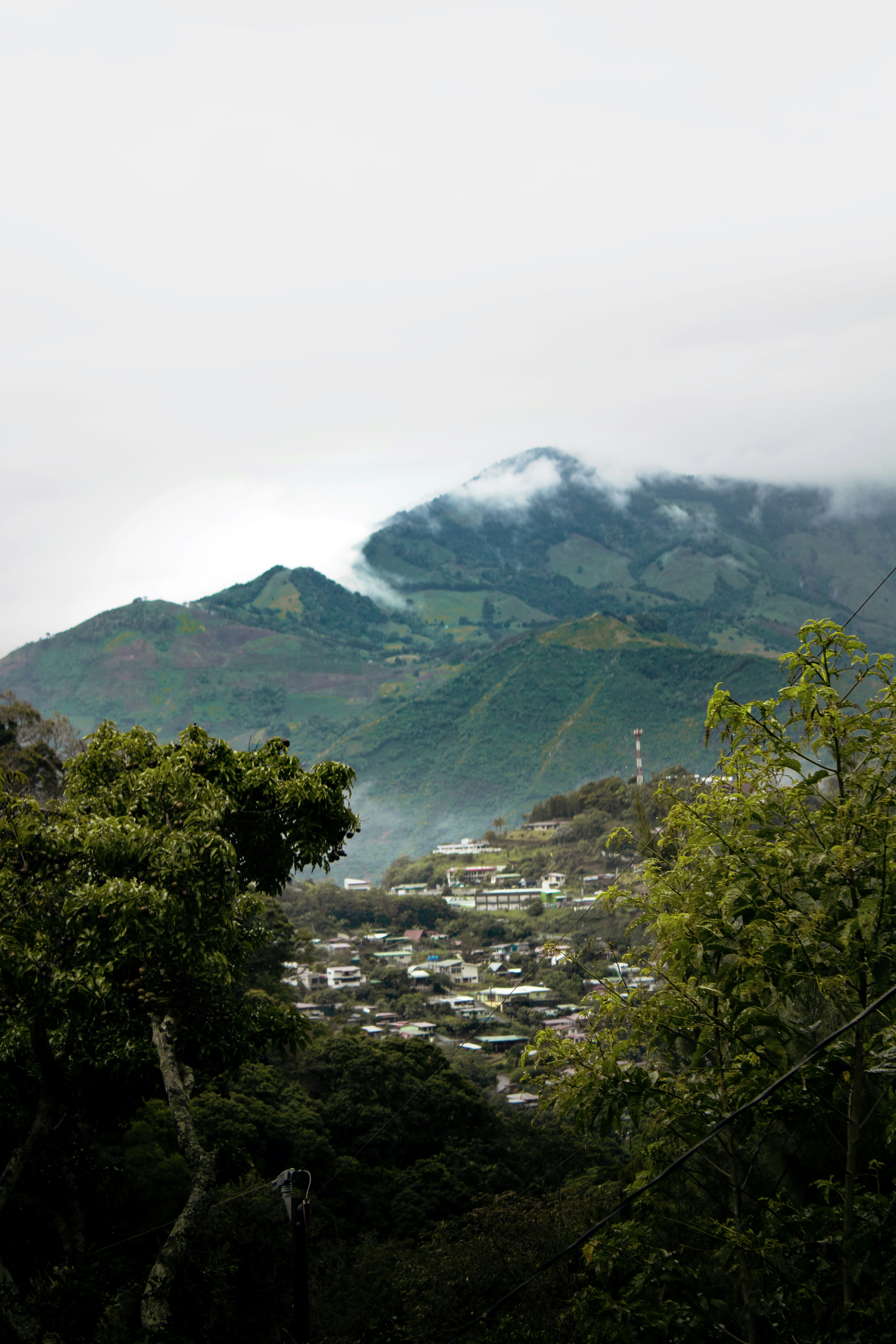 Photo by elianna_gill03