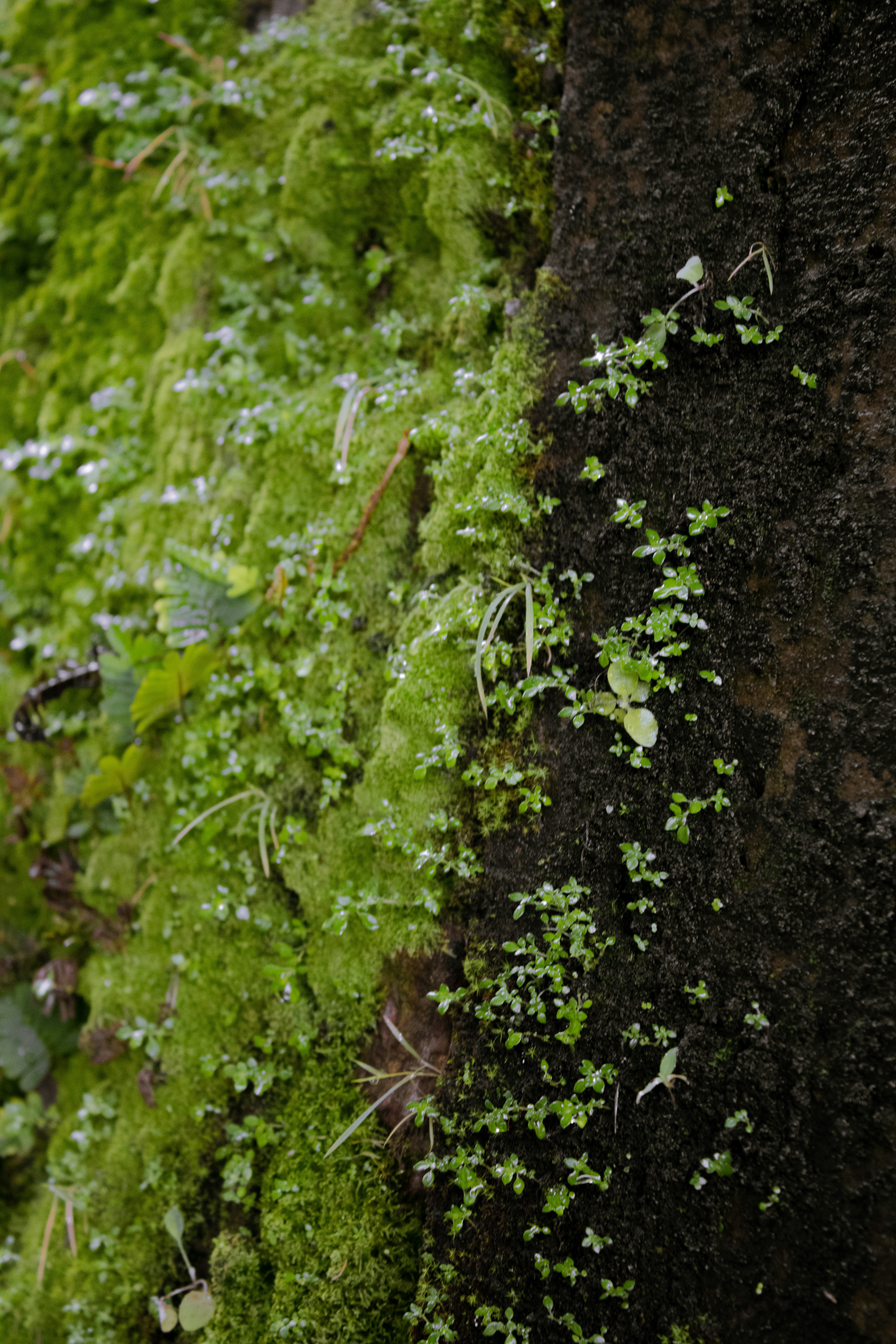 Photo by elianna_gill03