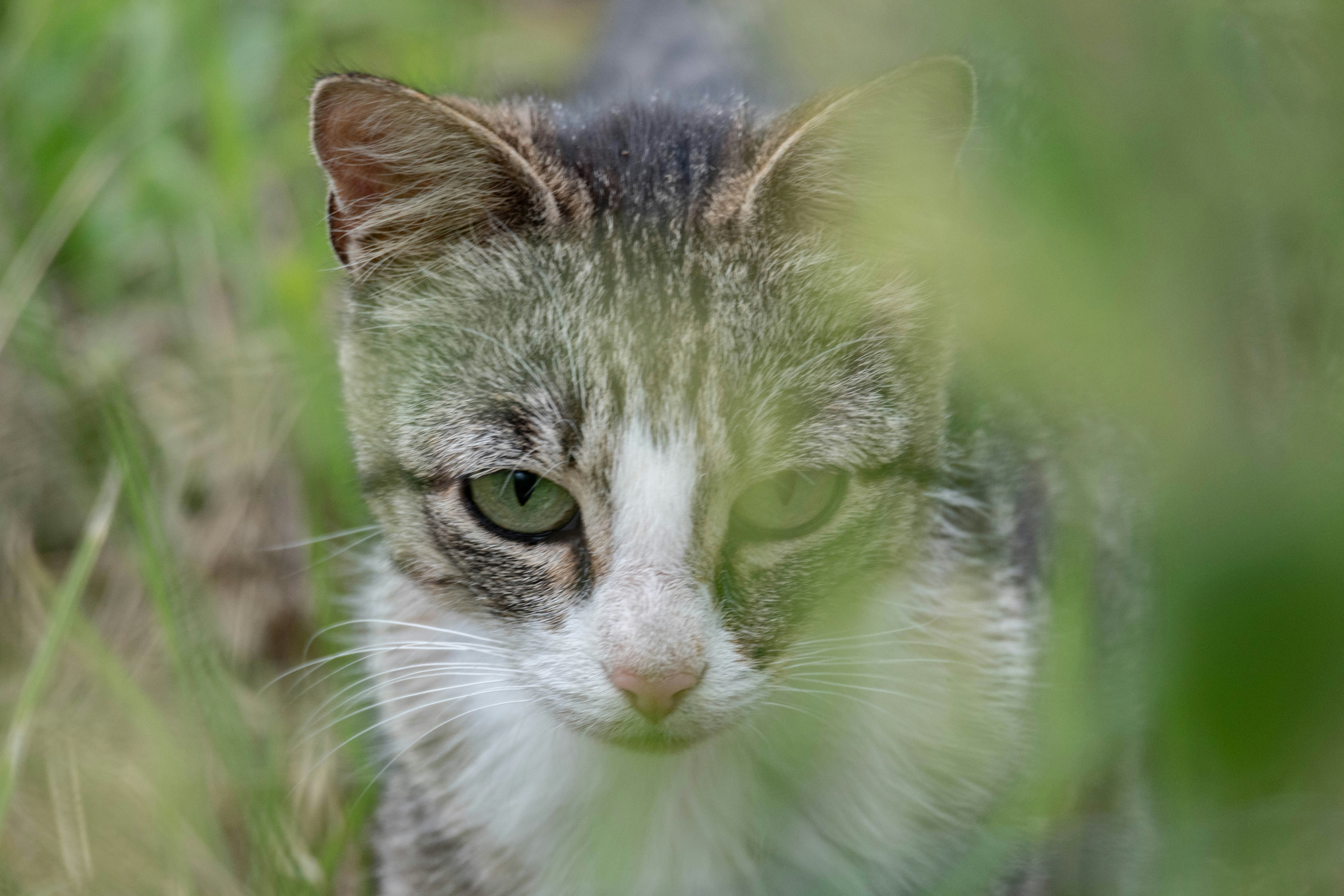 Photo by s_art_media