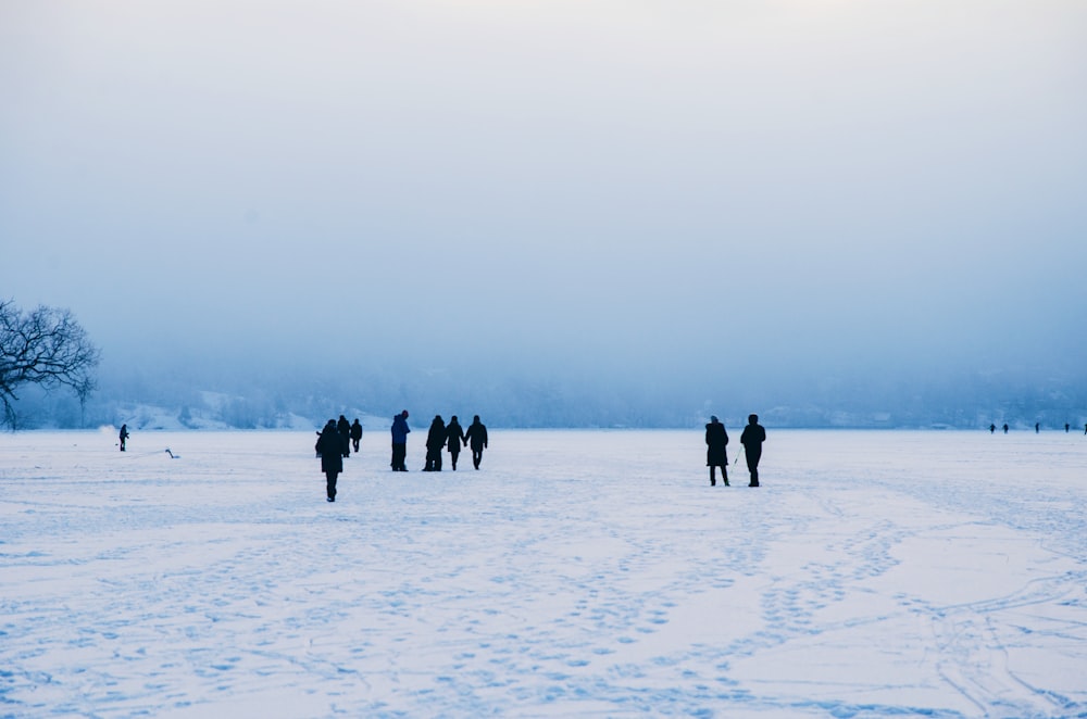 a group of people walking in a snowy field