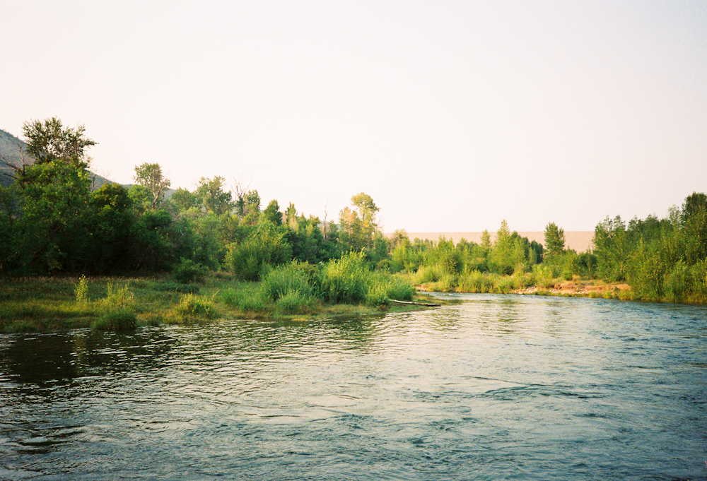 a body of water with trees around it