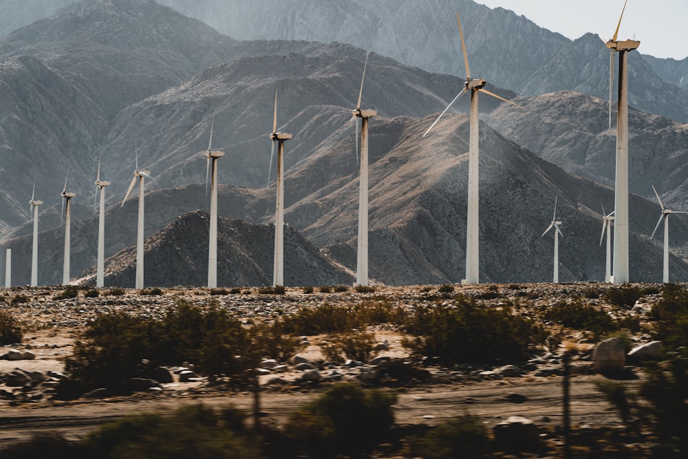 a group of wind turbines