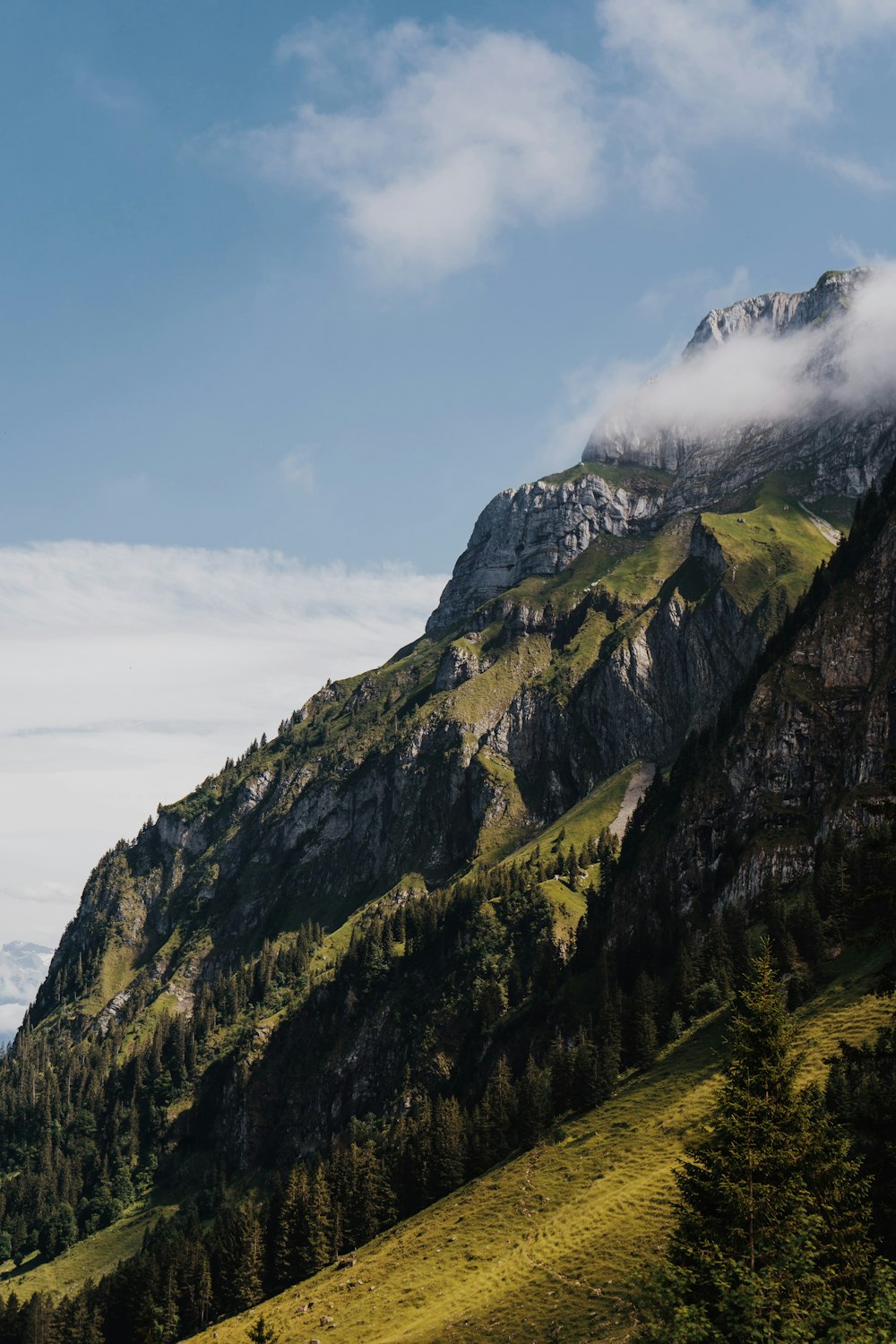 a mountain with trees and clouds