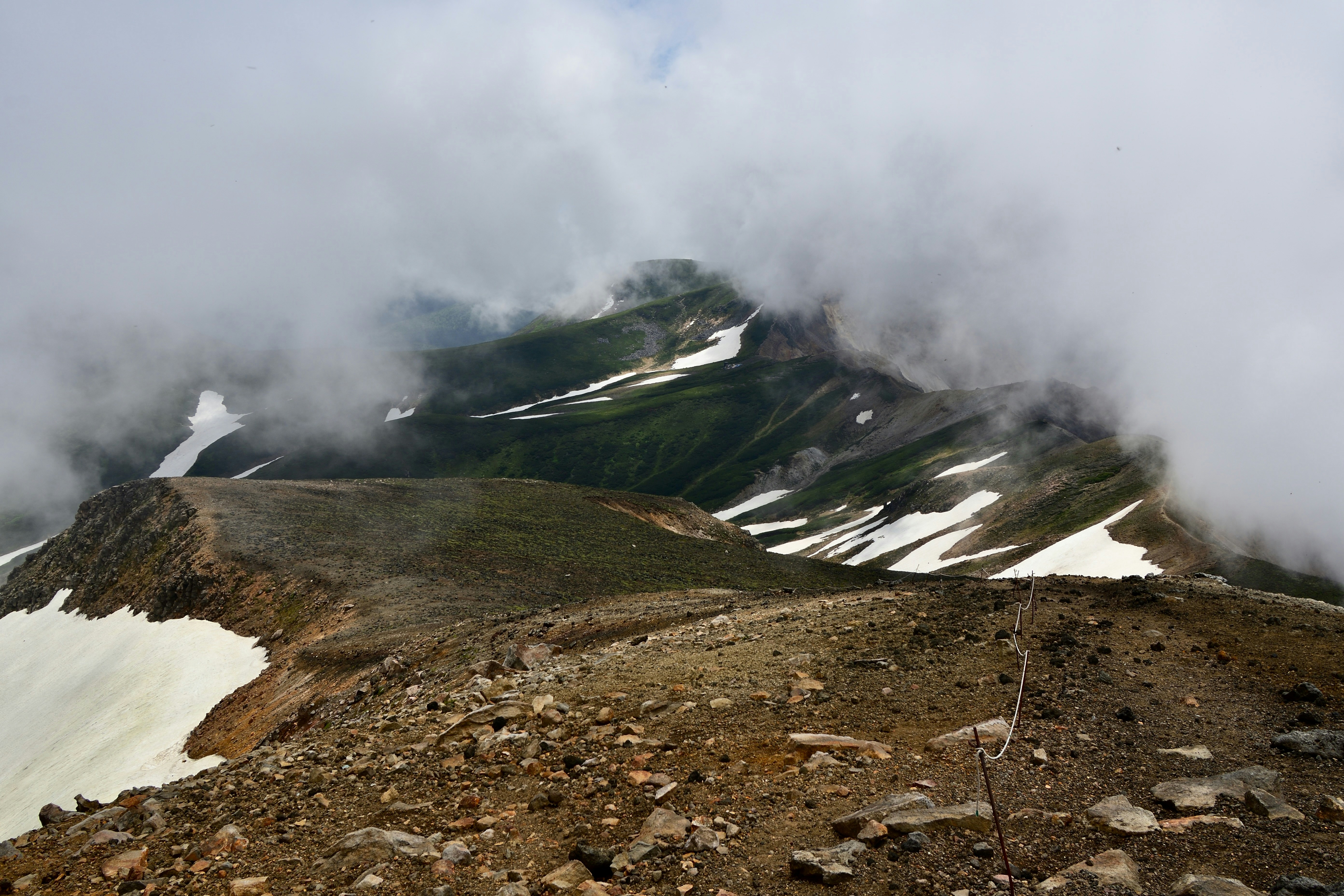 Photo by freezer_nico