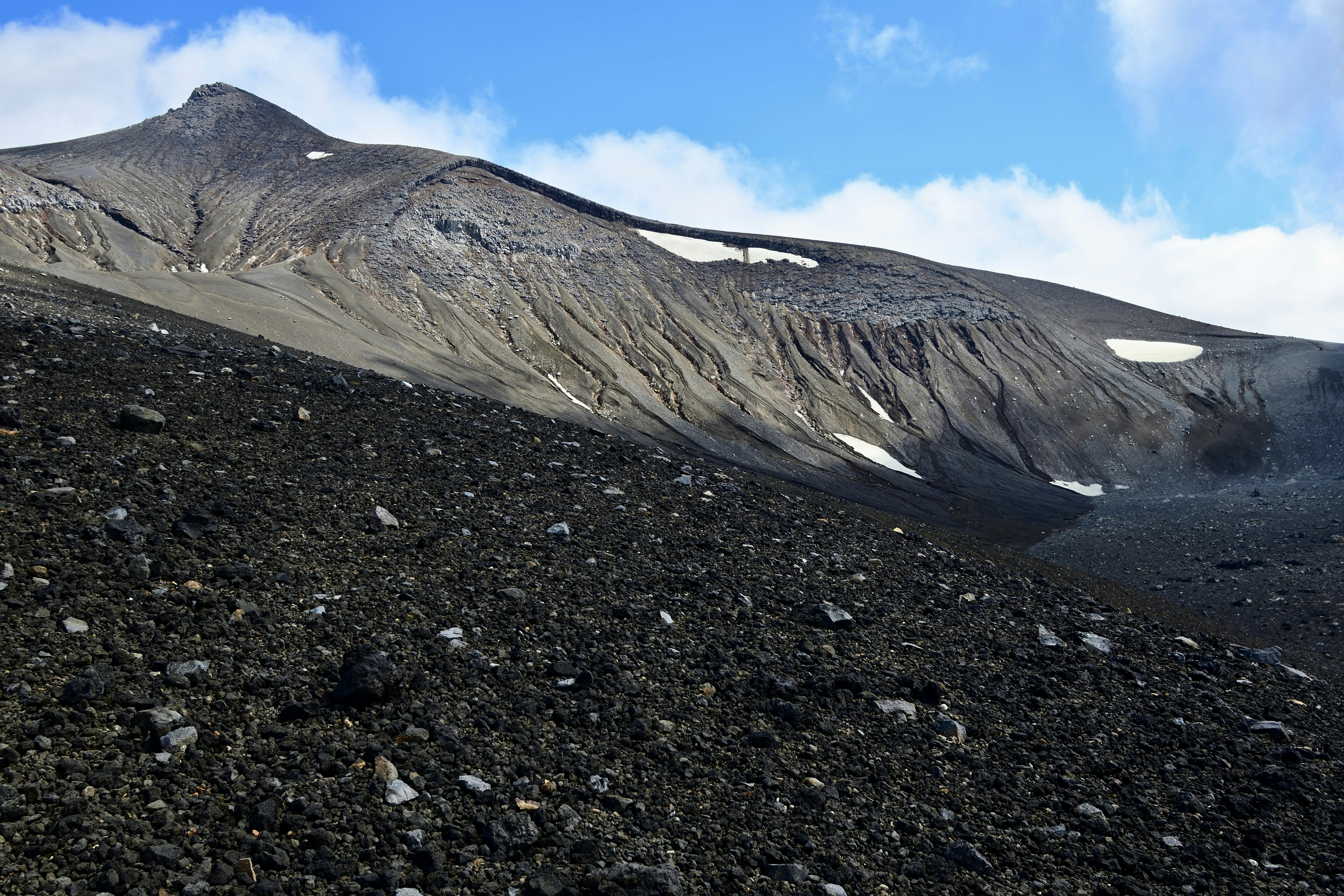 Photo by freezer_nico