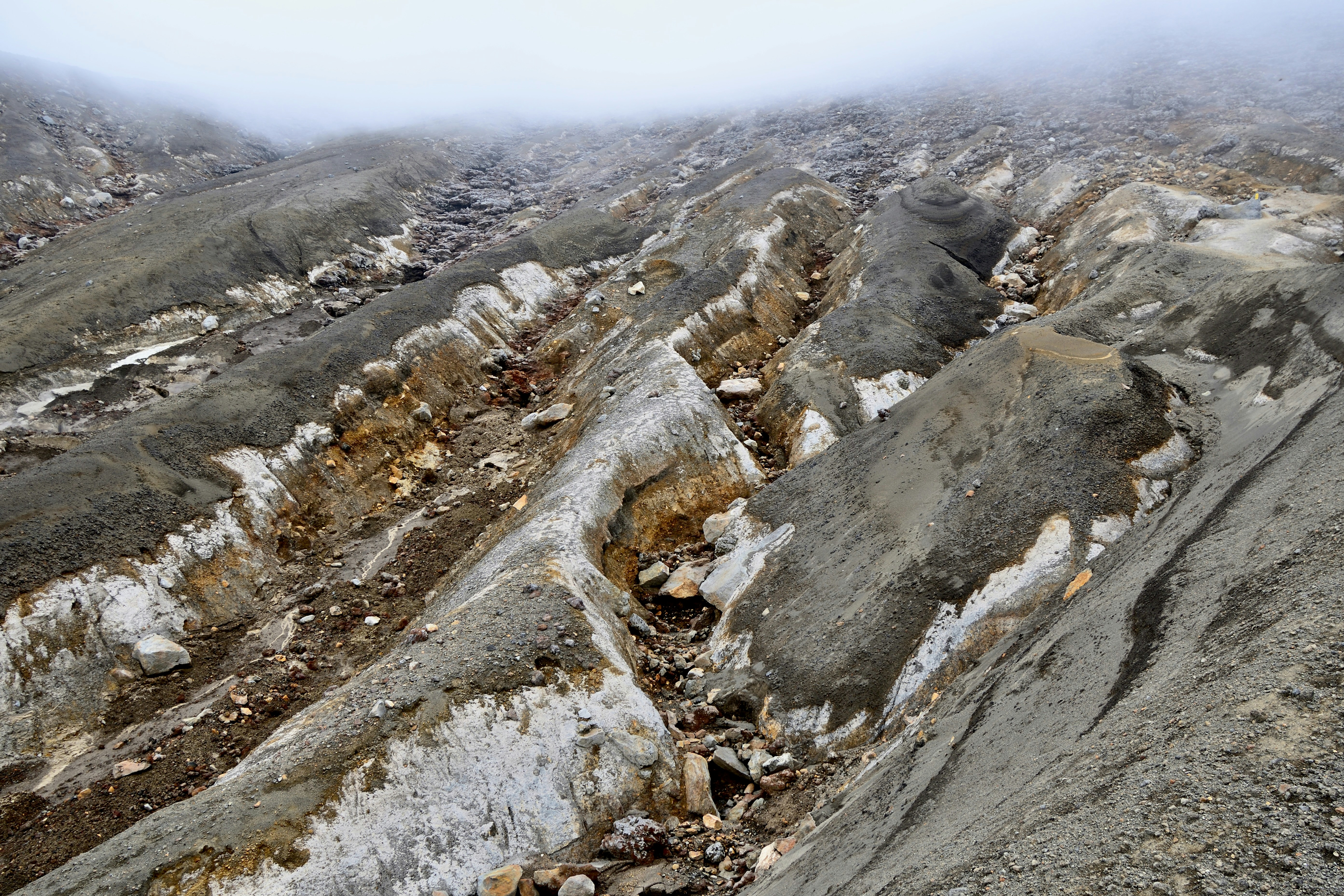 Photo by freezer_nico