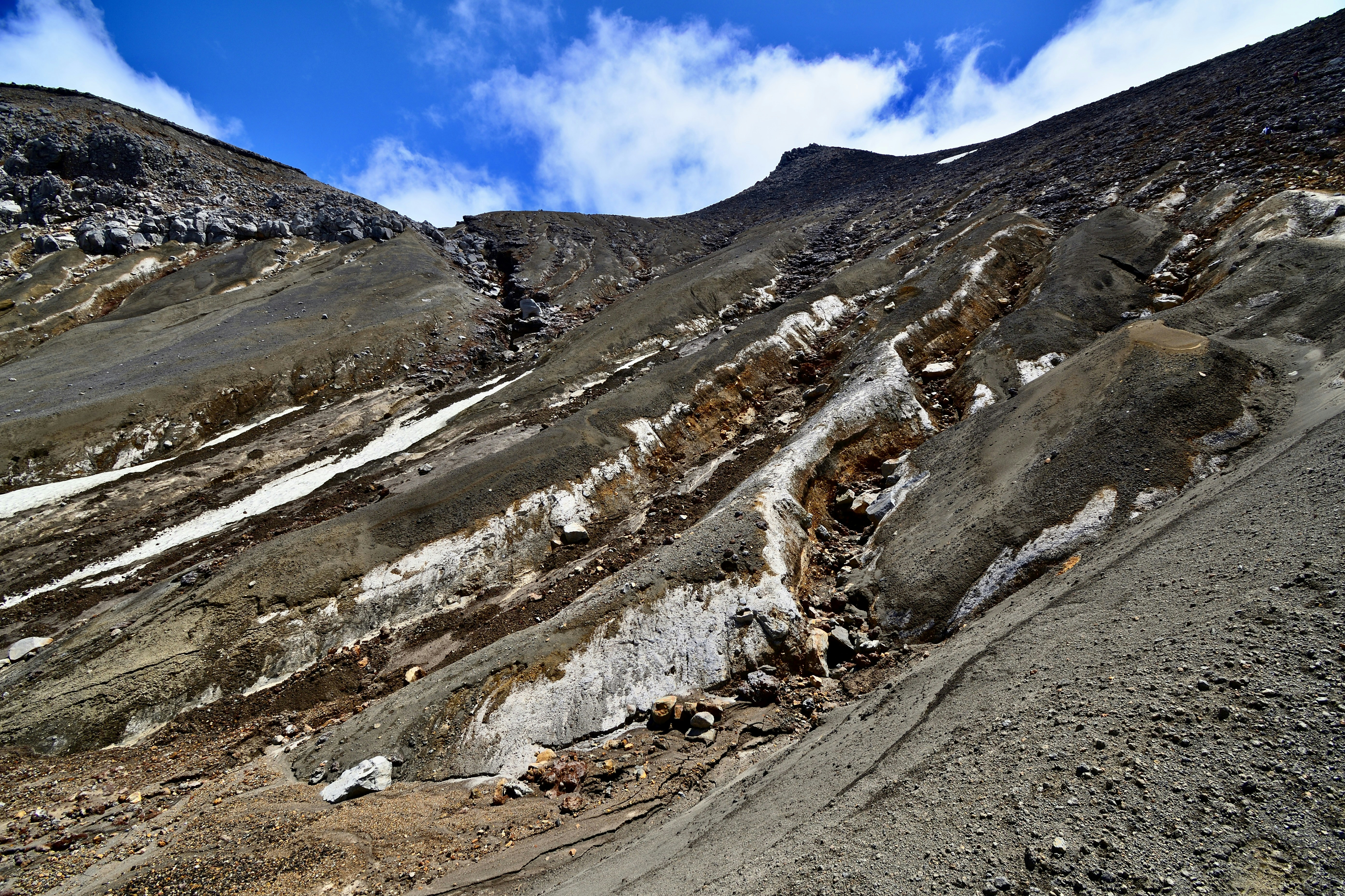 Photo by freezer_nico