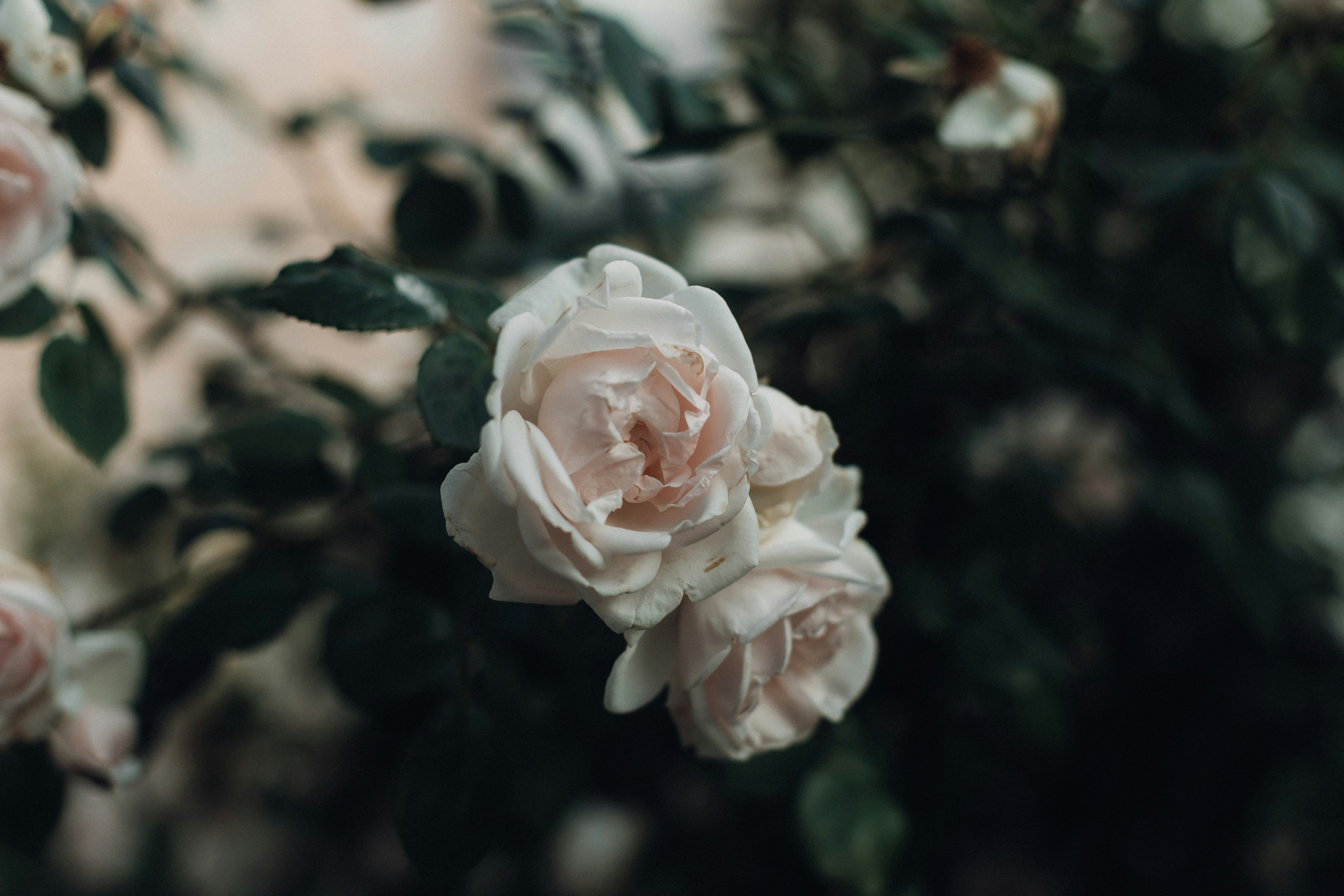 Photo by yulia_dubyna