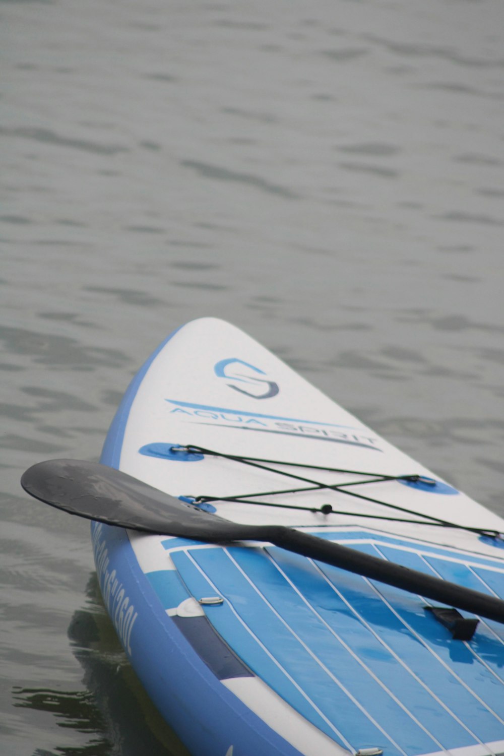 Un aileron de requin sur un bateau