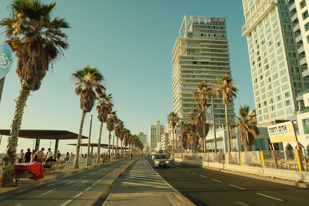 a street with palm trees and buildings