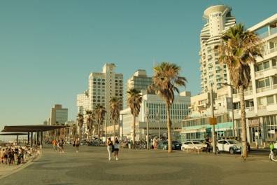A coastal promenade lined with tall palm trees and modern high-rise buildings. People are walking, biking, and enjoying the sunny weather. The architecture of the buildings is contemporary, with some featuring balconies and glass façades. The scene is lively with tourists and locals alike, engaging in leisure activities amidst an urban setting by the beach.