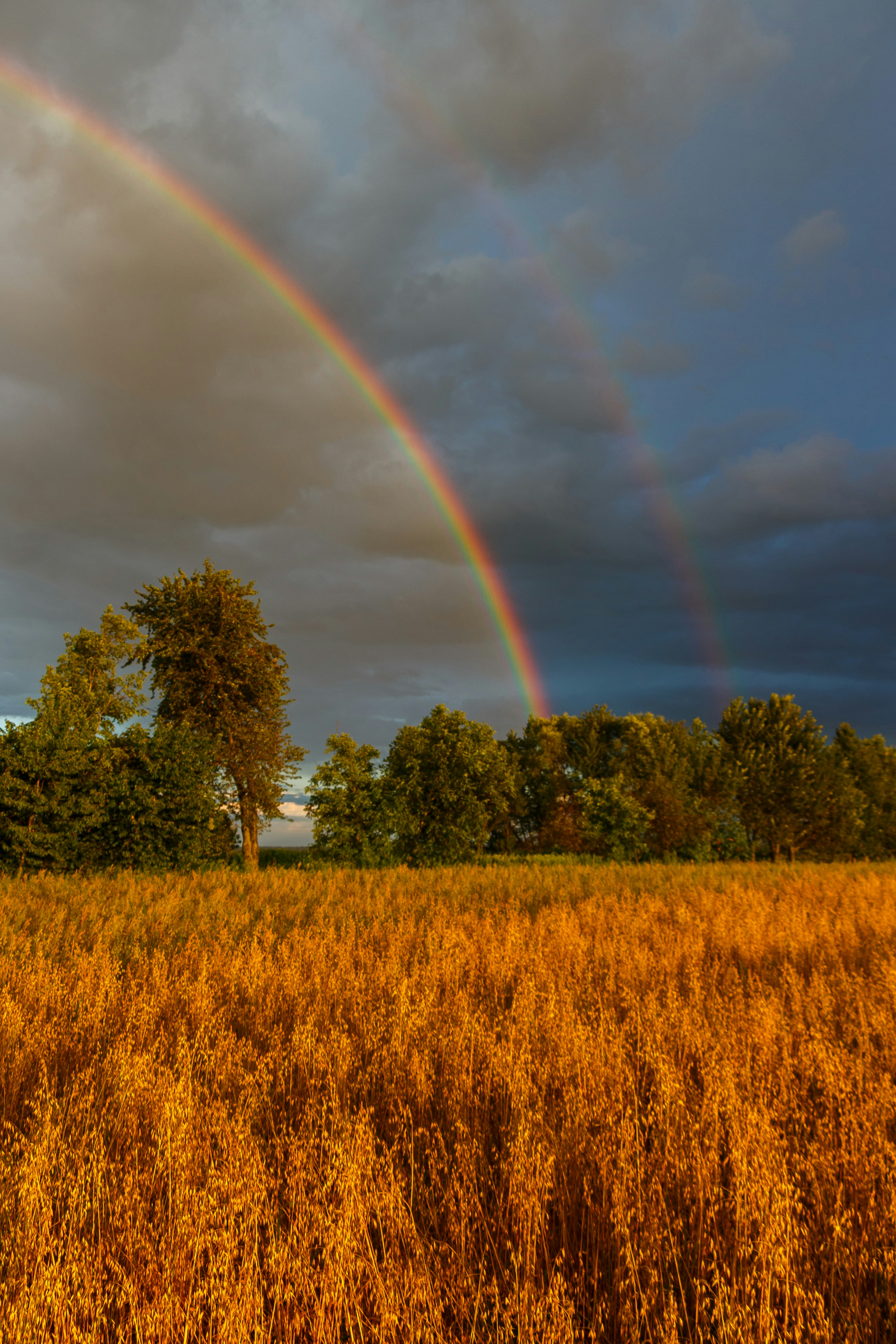 Photo by viktorsmoliak