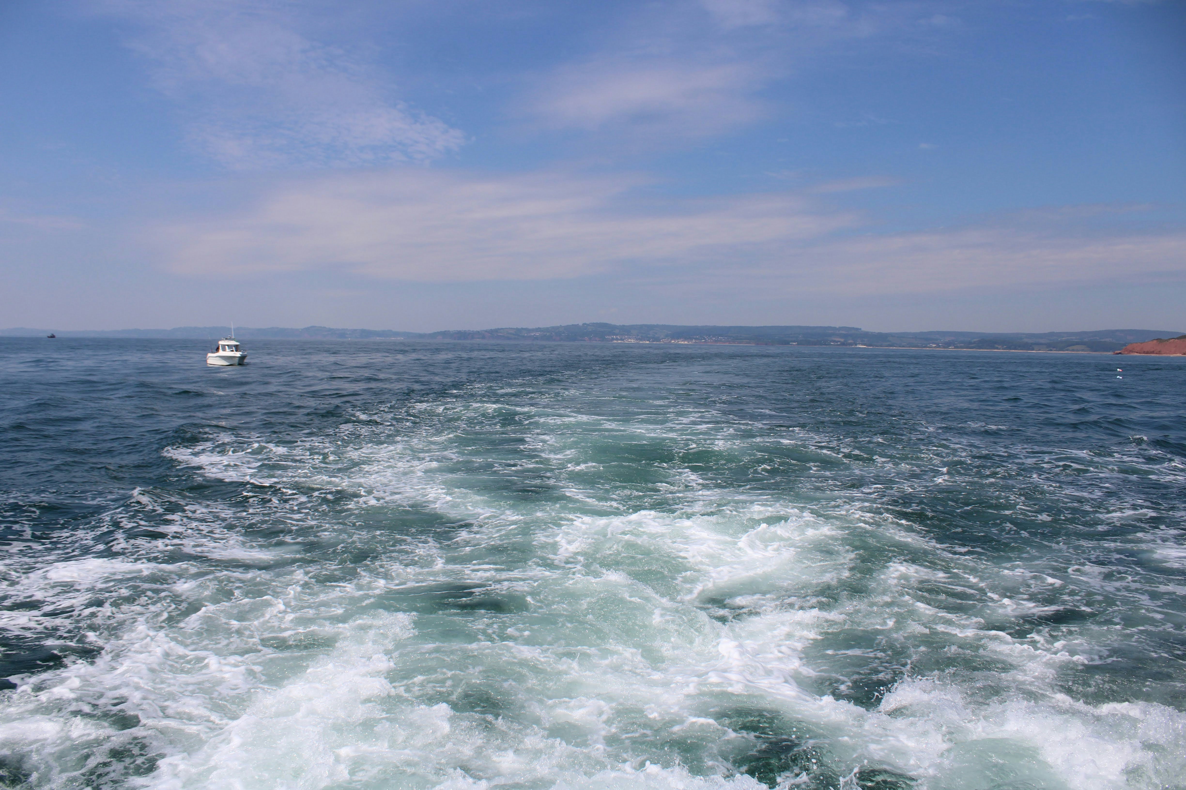 Photo by balesphotographyco