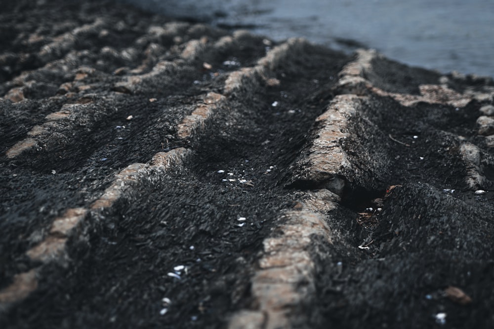 a close up of a rock