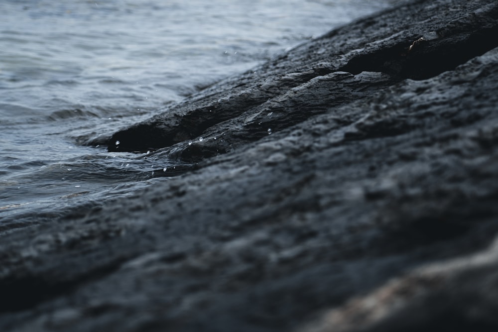 a close-up of a beach