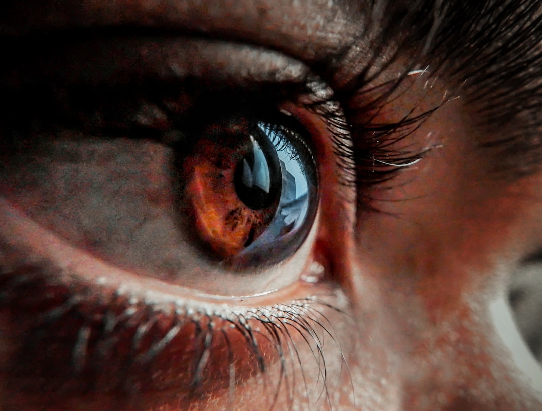 close-up of an eye,