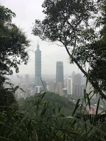 A cityscape featuring a prominent skyscraper with a unique design standing out among other tall buildings. The photo is framed by tree branches and foliage in the foreground, adding a natural element to the scene. The atmosphere appears overcast or foggy, contributing to a muted color palette.