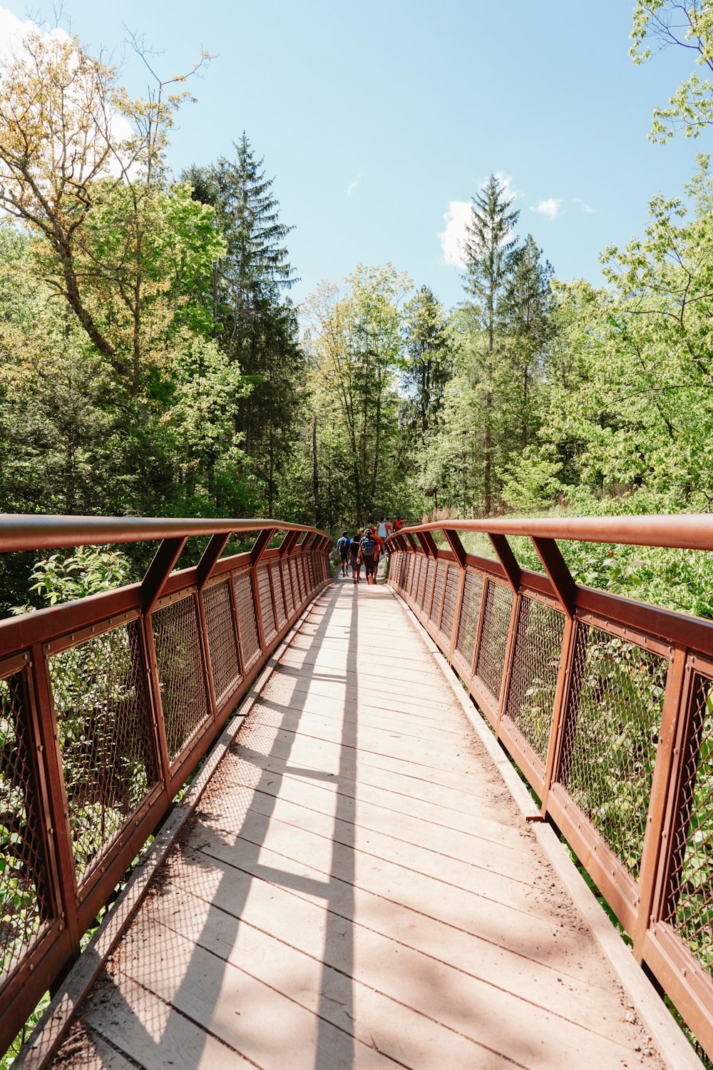 a wooden bridge with people walking on it