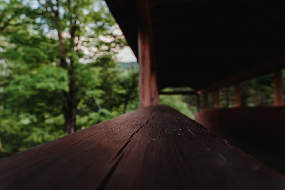 a wood table in a forest