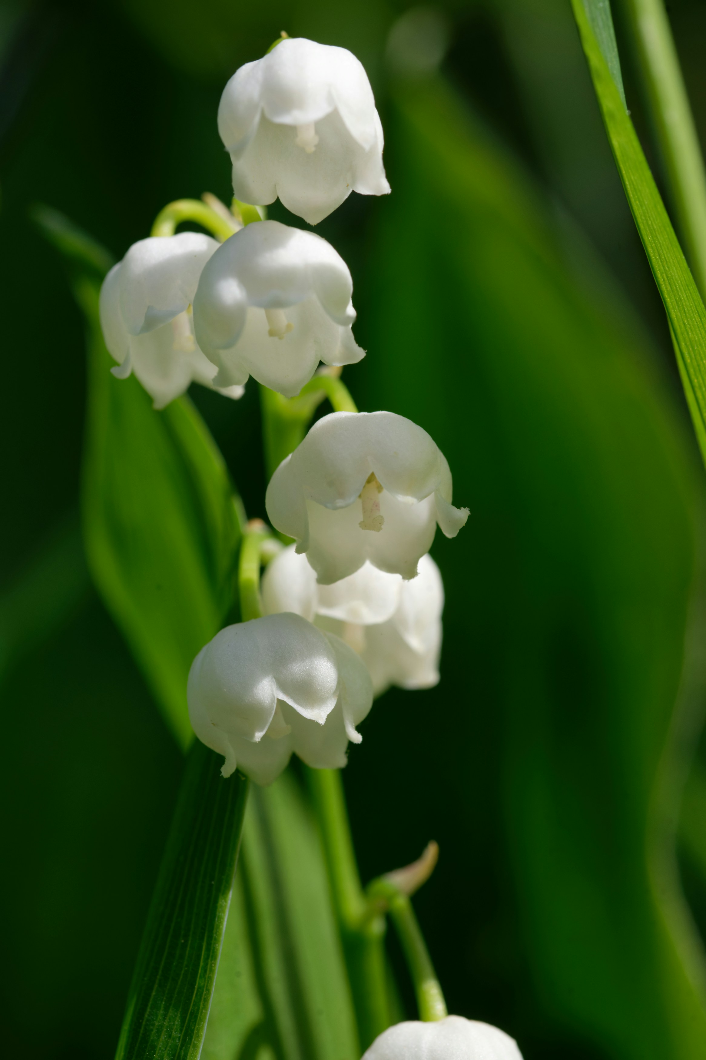 Photo by designbytholen